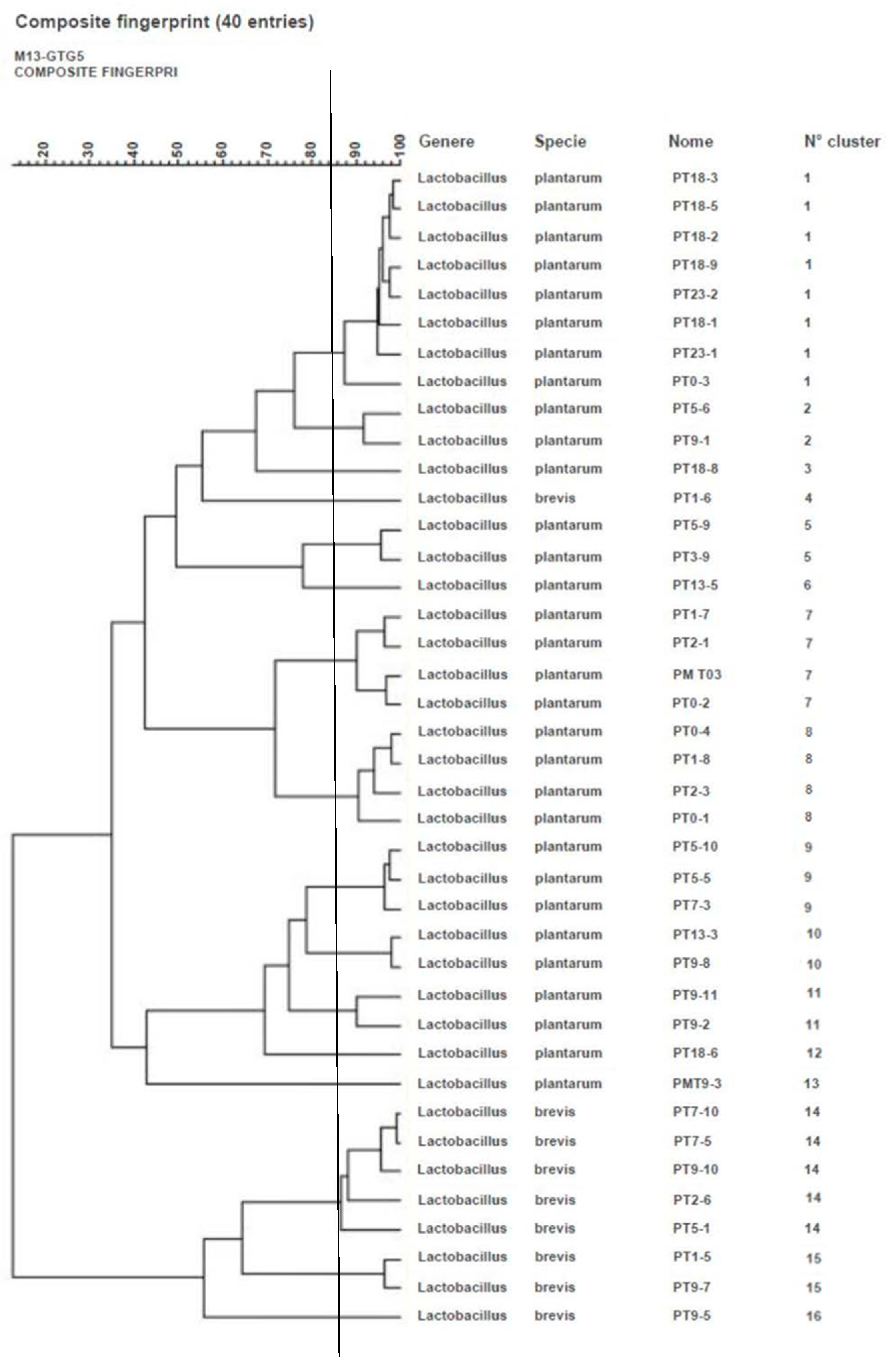Microorganisms 09 01895 g001