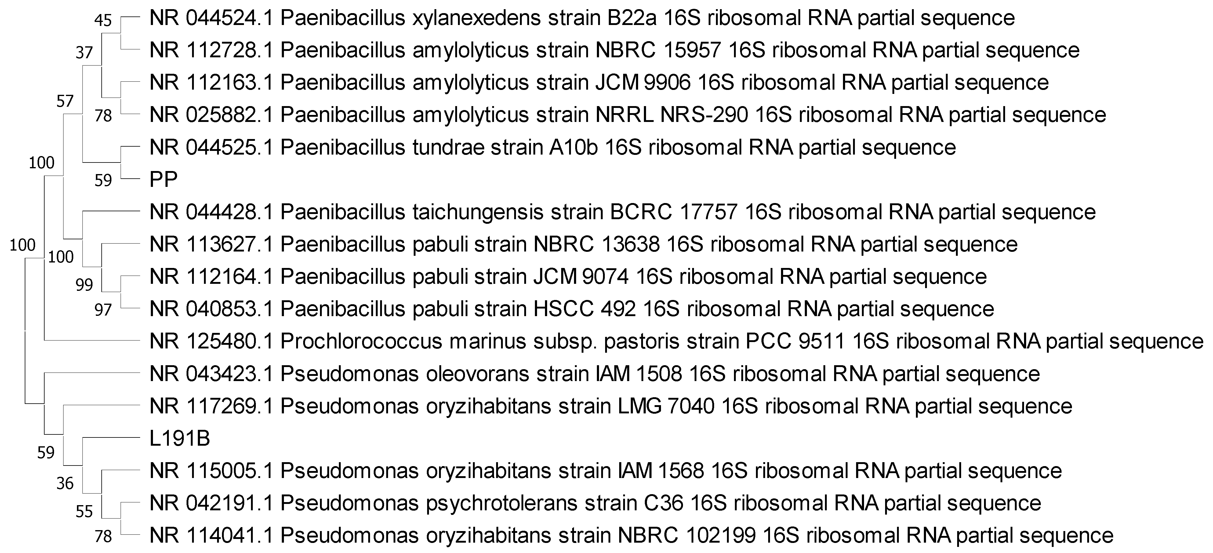 Microorganisms 09 01901 g002