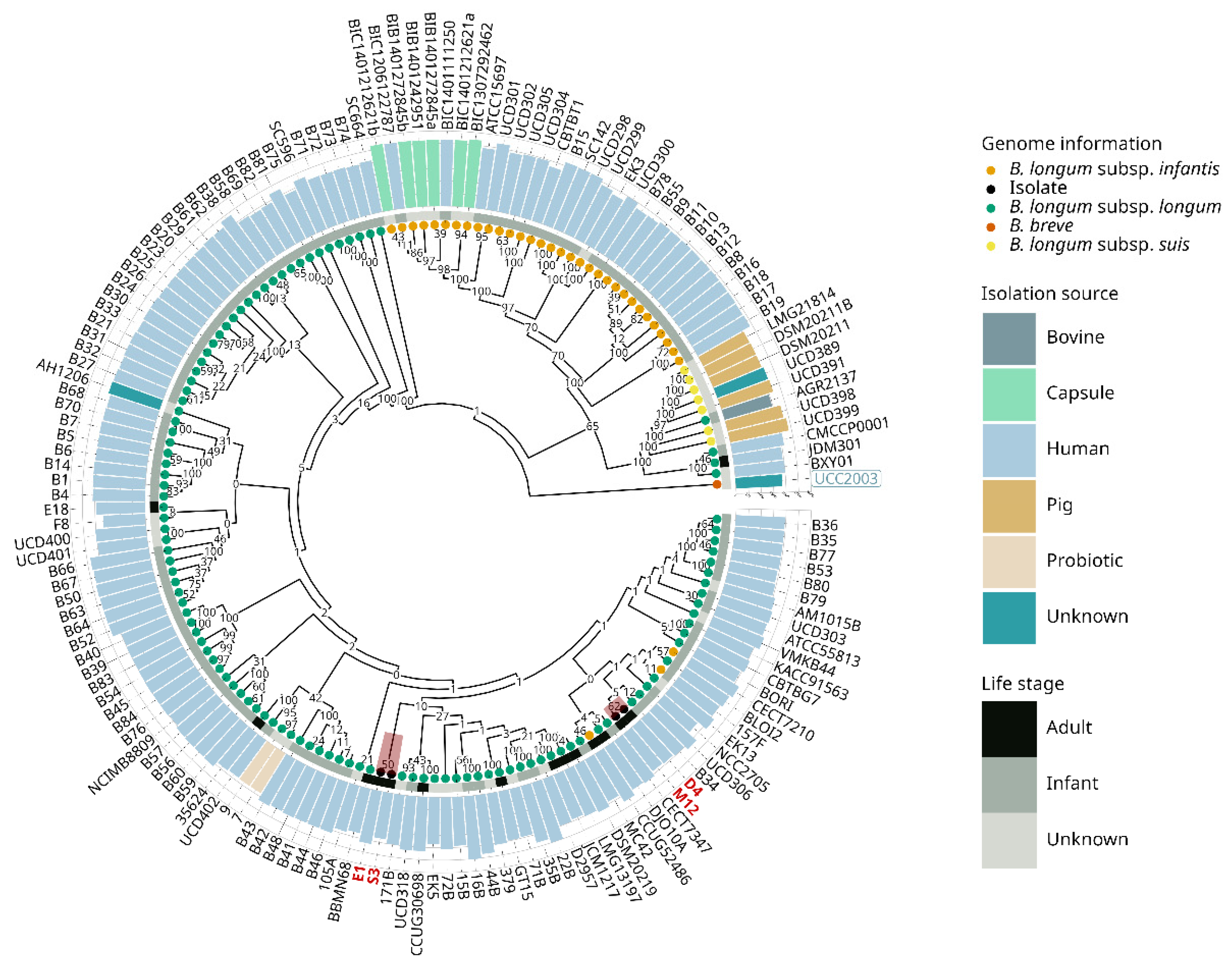 Microorganisms Free Full Text Comparative Genomic Analysis Of Novel Bifidobacterium Longum Subsp Longum Strains Reveals Functional Divergence In The Human Gut Microbiota Html