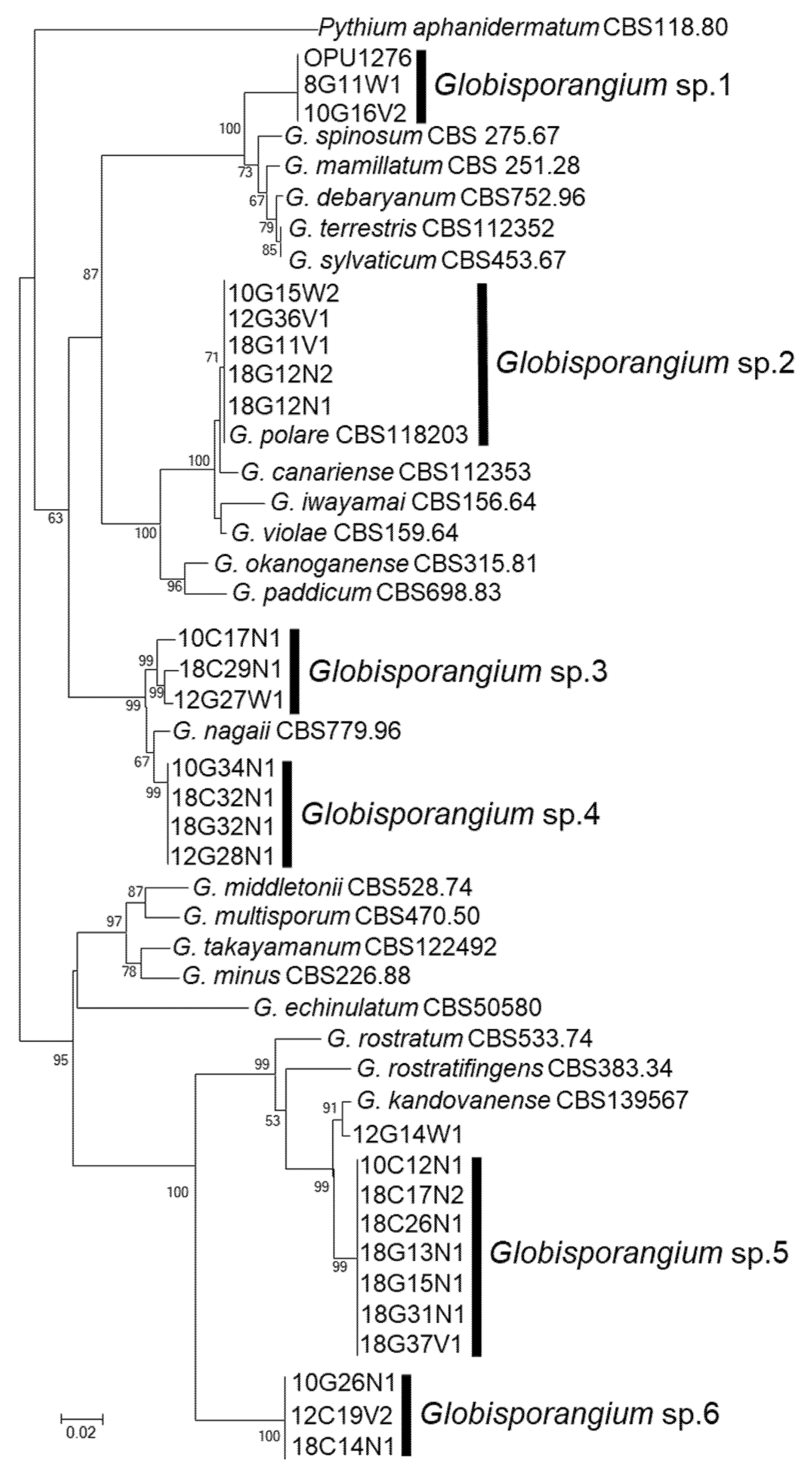 Microorganisms 09 01912 g002