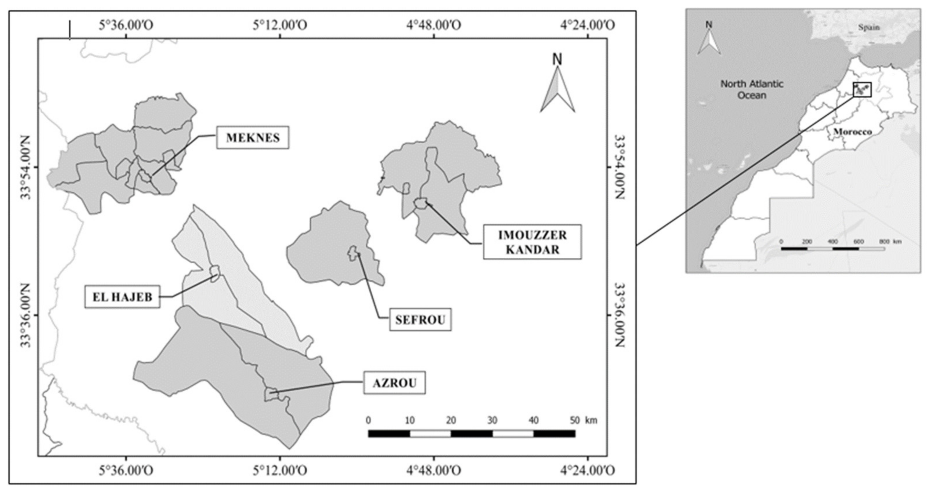 Microorganisms 09 01916 g001