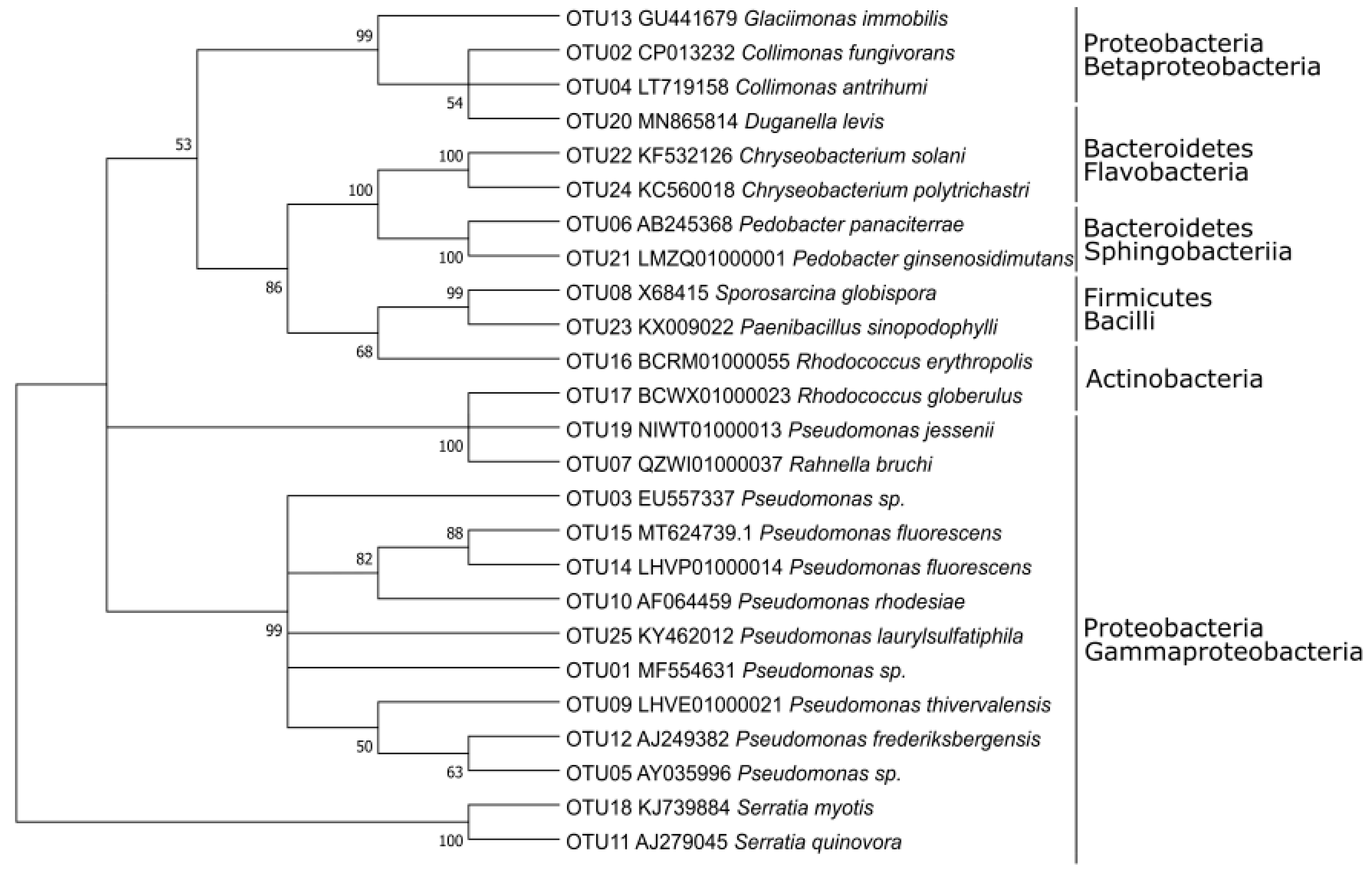 Microorganisms 09 01920 g001