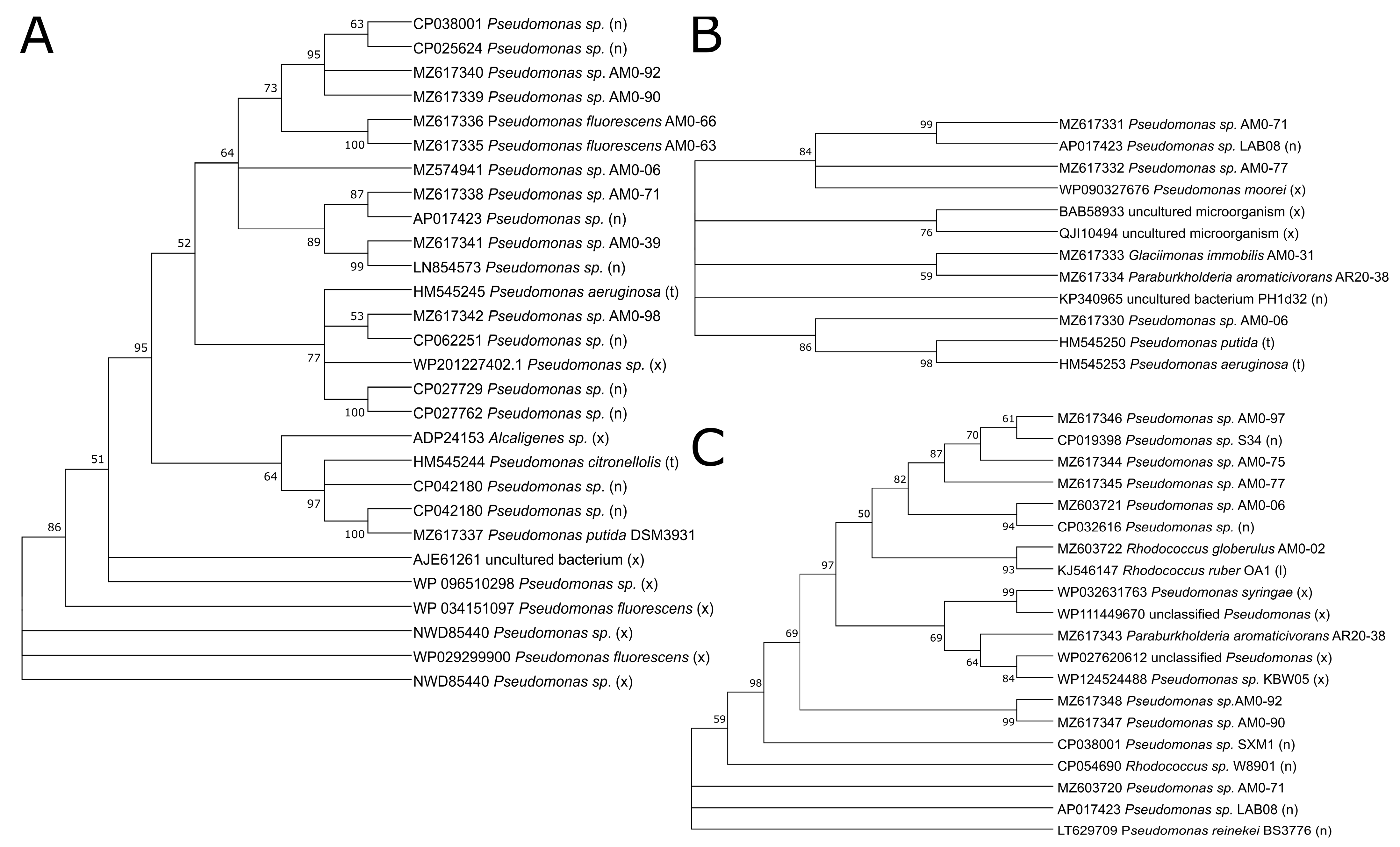 Microorganisms 09 01920 g003