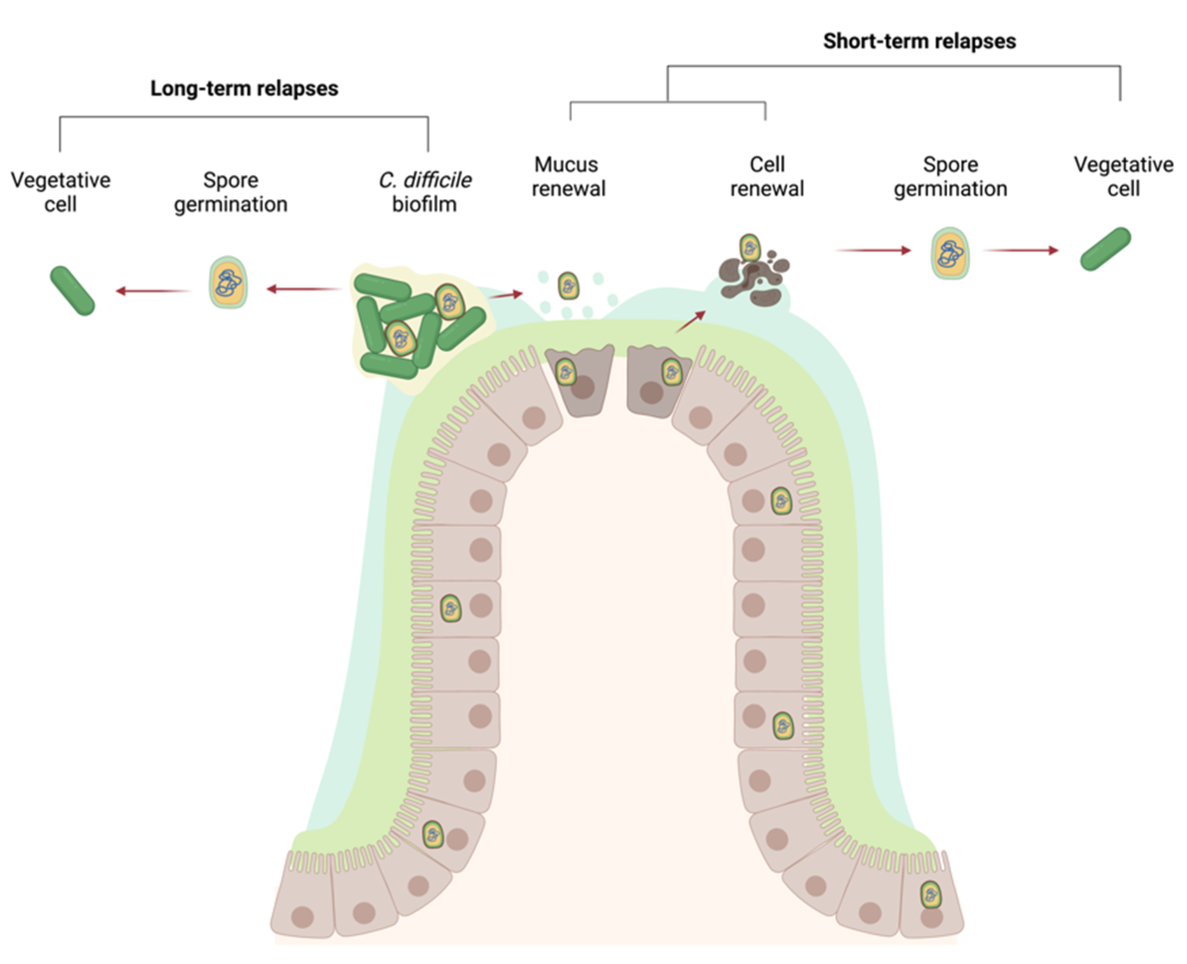 Microorganisms 09 01922 g003