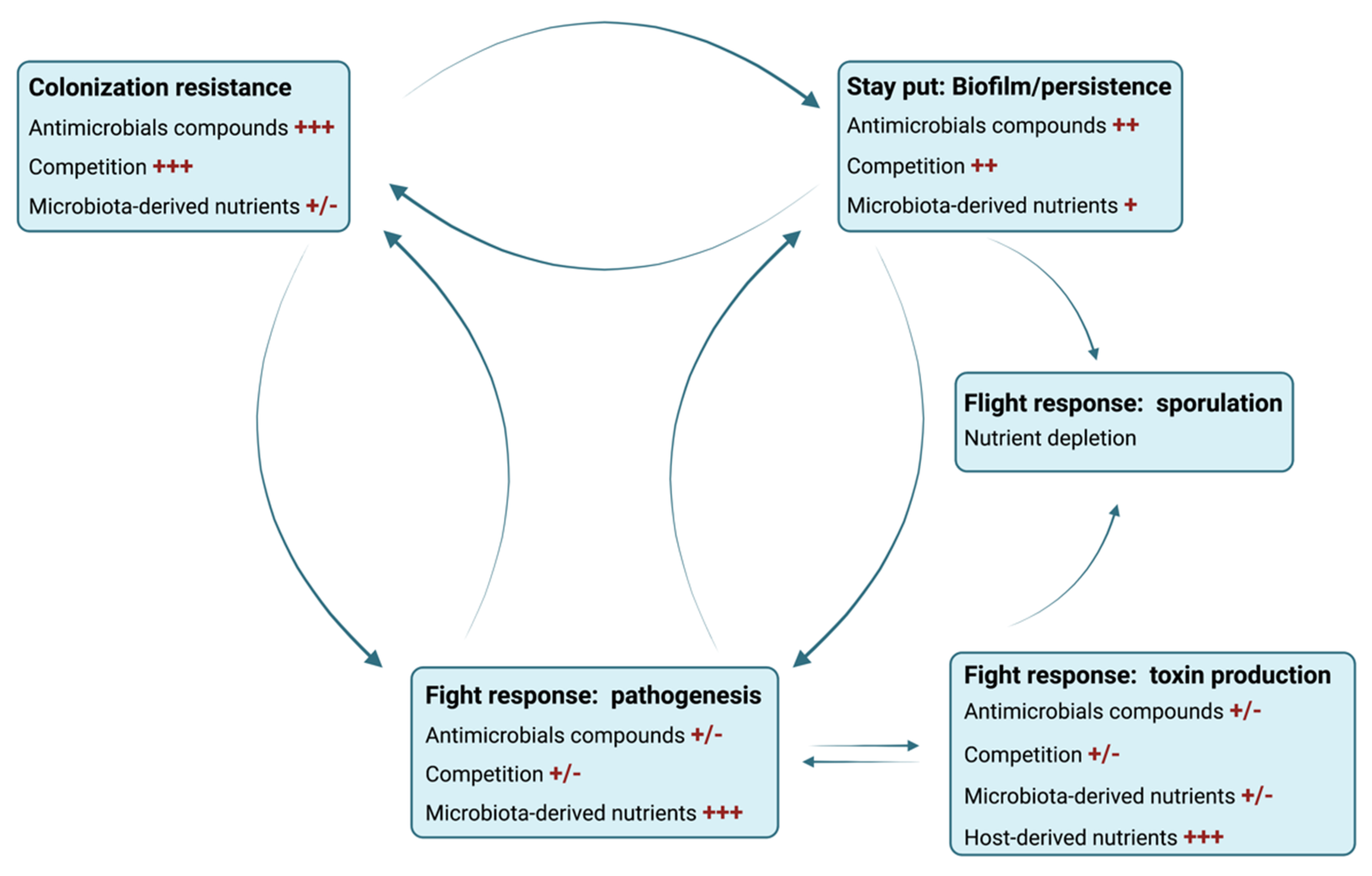Microorganisms 09 01922 g004