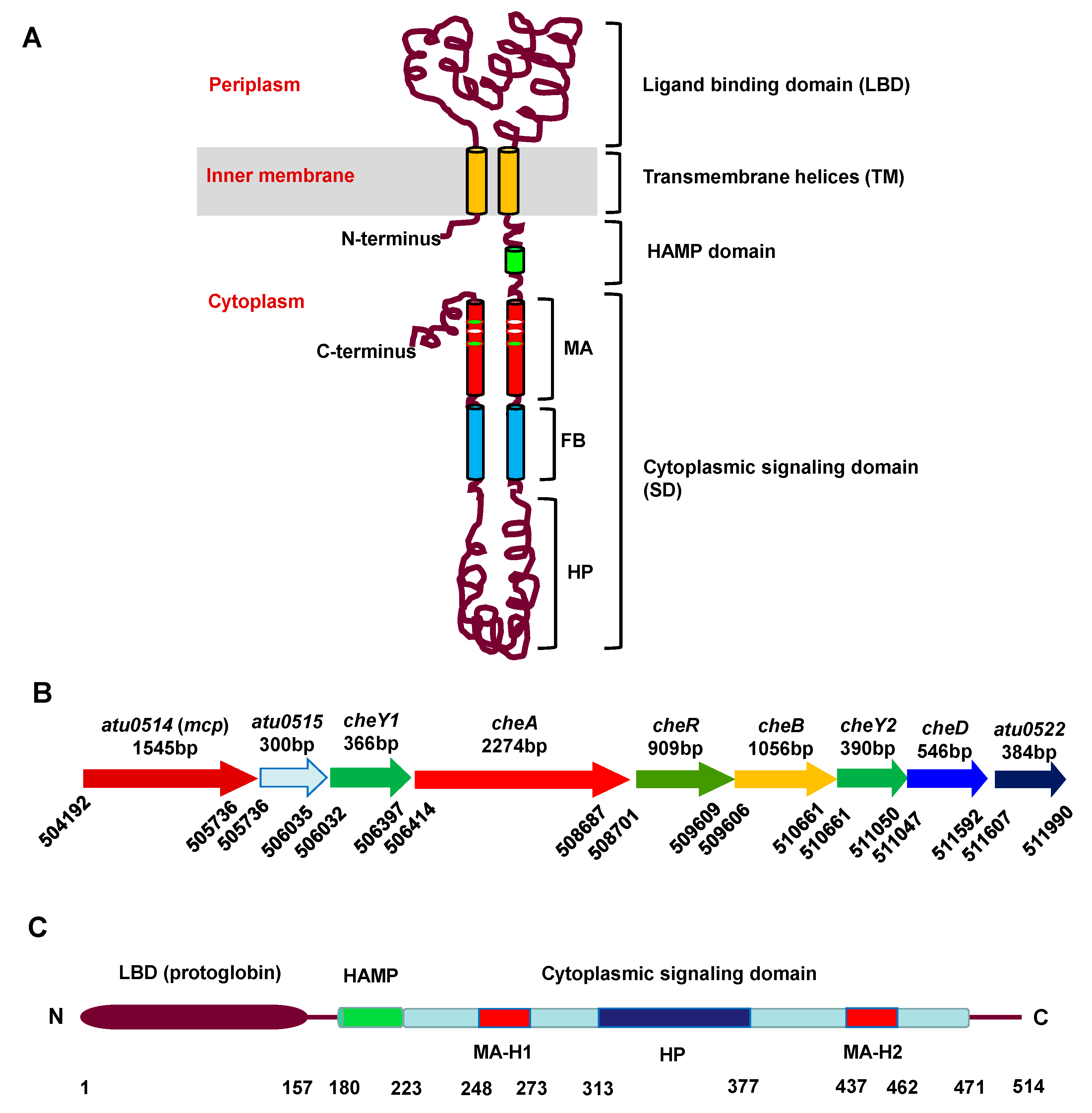 Microorganisms 09 01923 g001