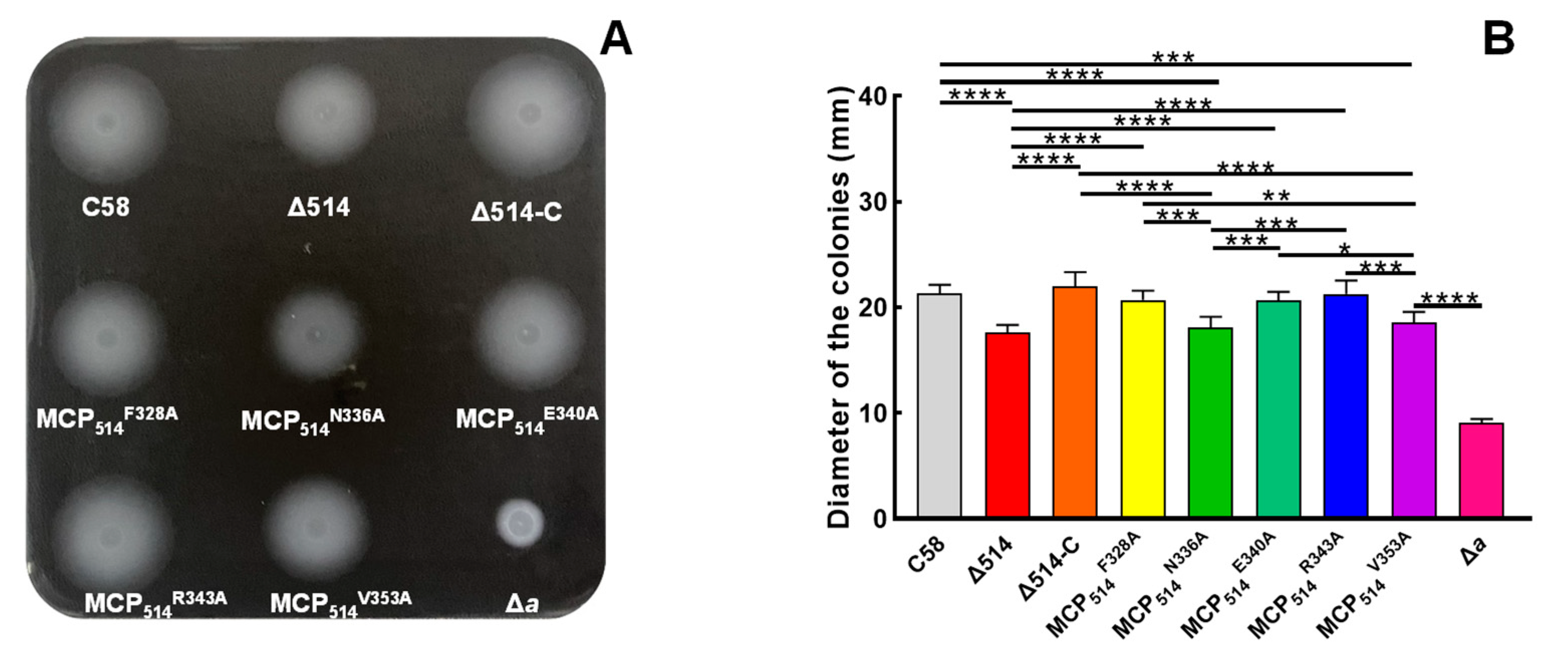Microorganisms 09 01923 g008
