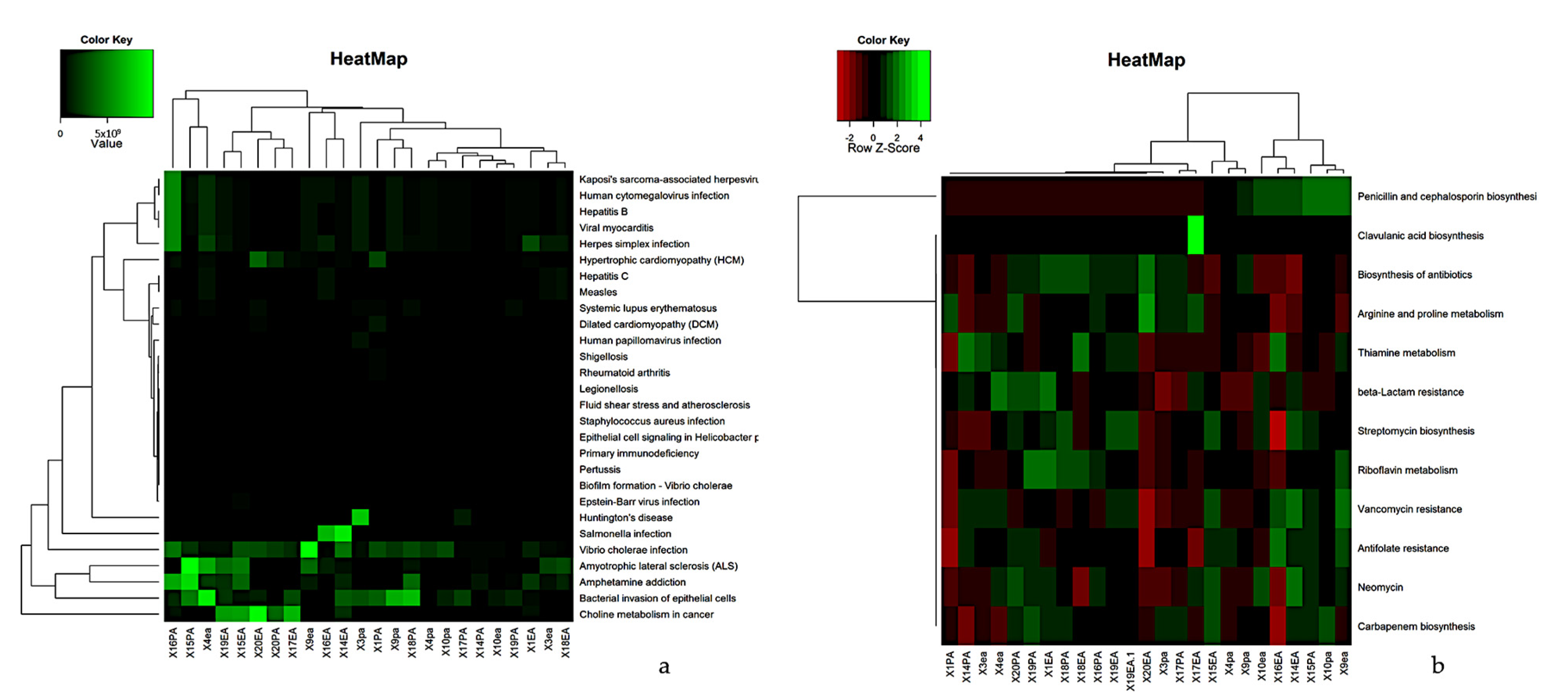 Microorganisms 09 01925 g008