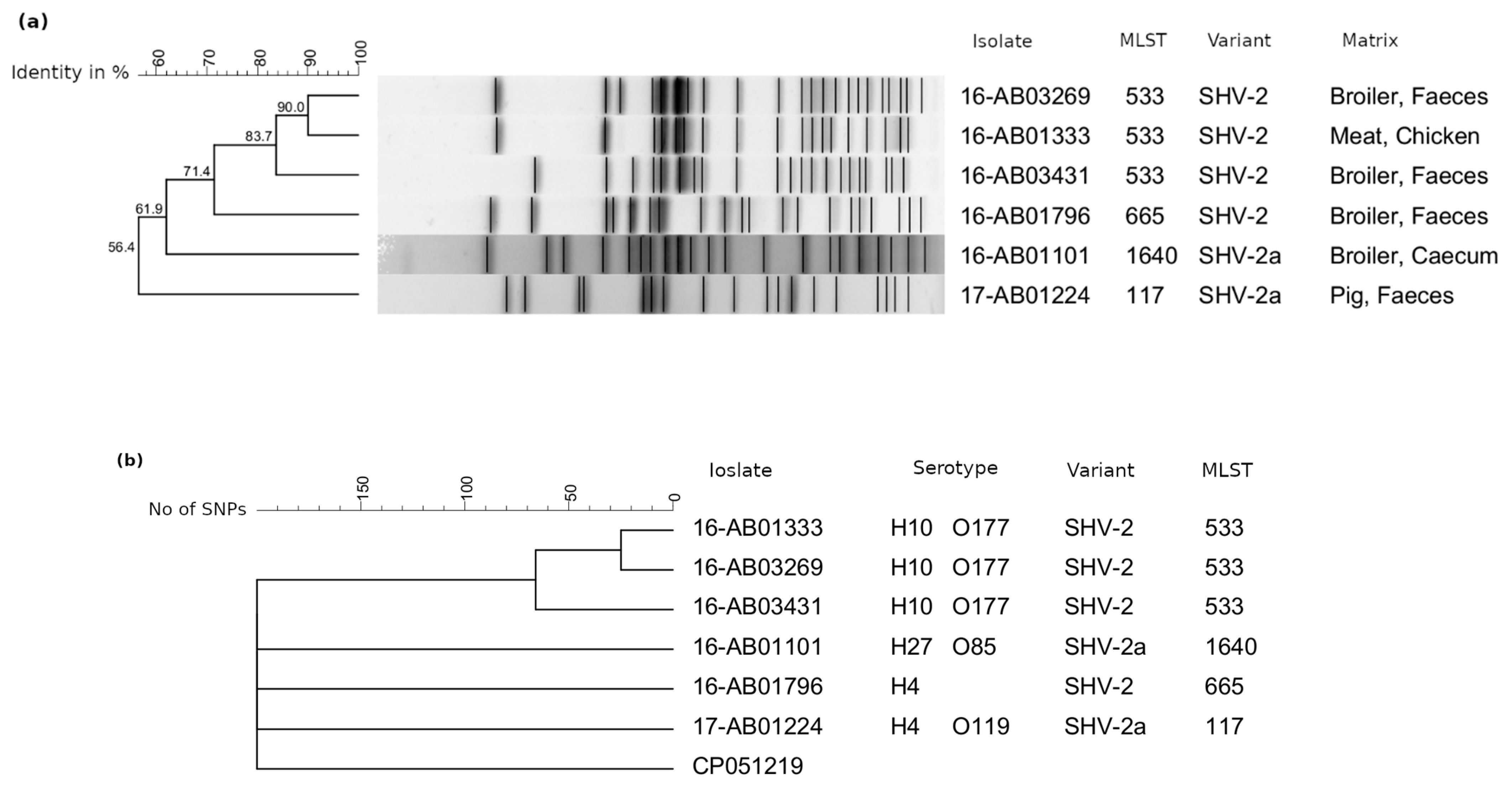 Microorganisms 09 01926 g002 Microorganisms 09 01926 g002