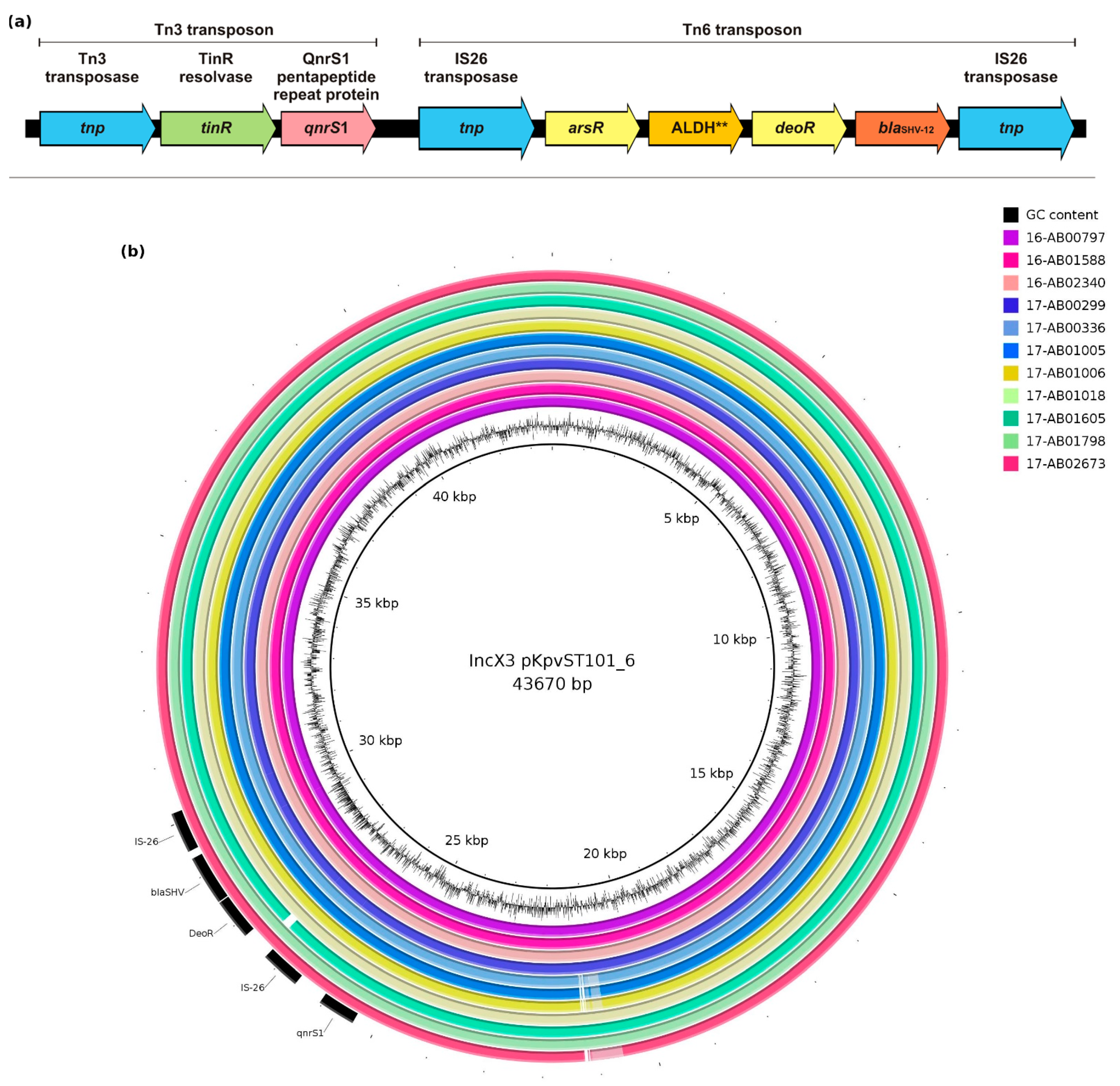 Microorganisms 09 01926 g003 Microorganisms 09 01926 g003