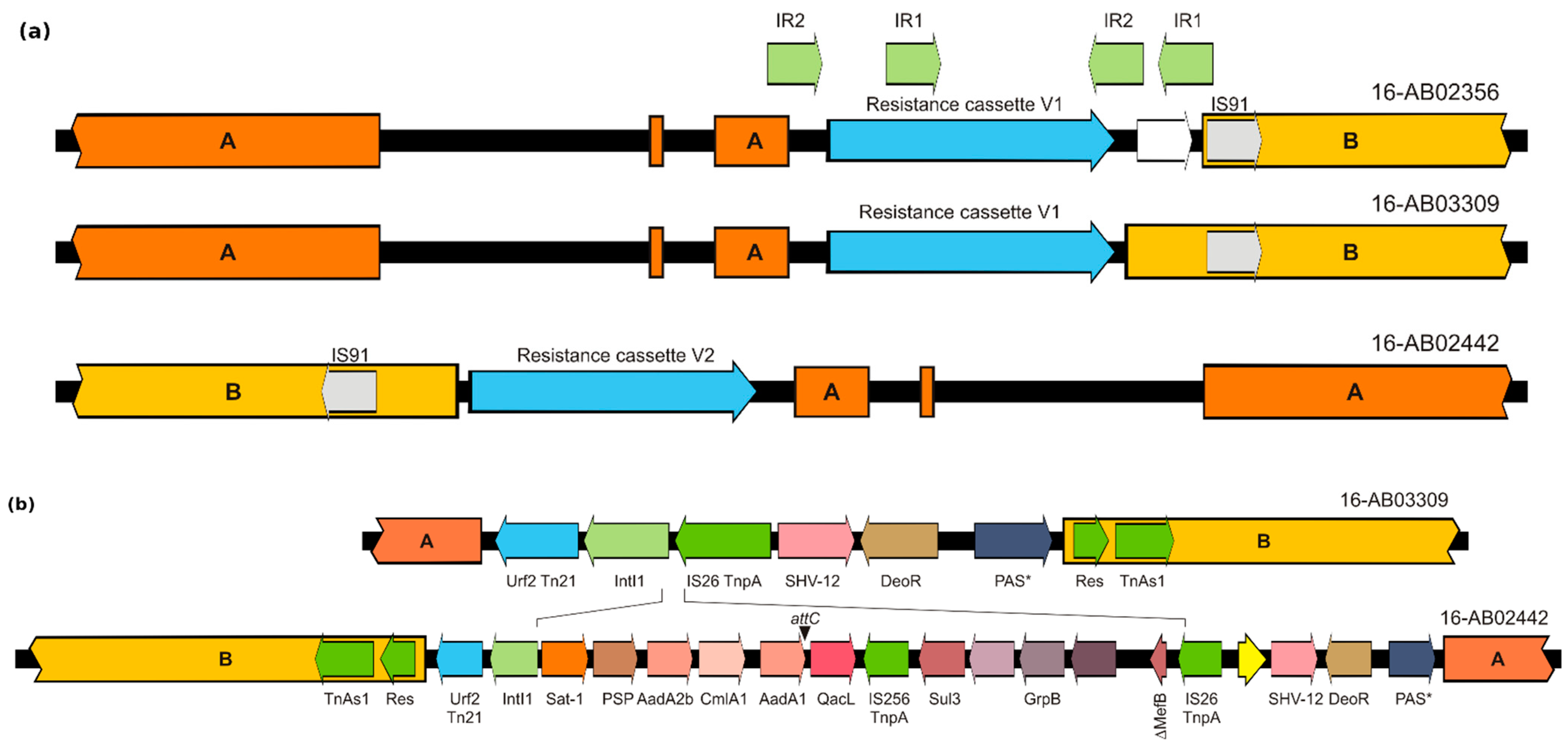 Microorganisms 09 01926 g004 Microorganisms 09 01926 g004