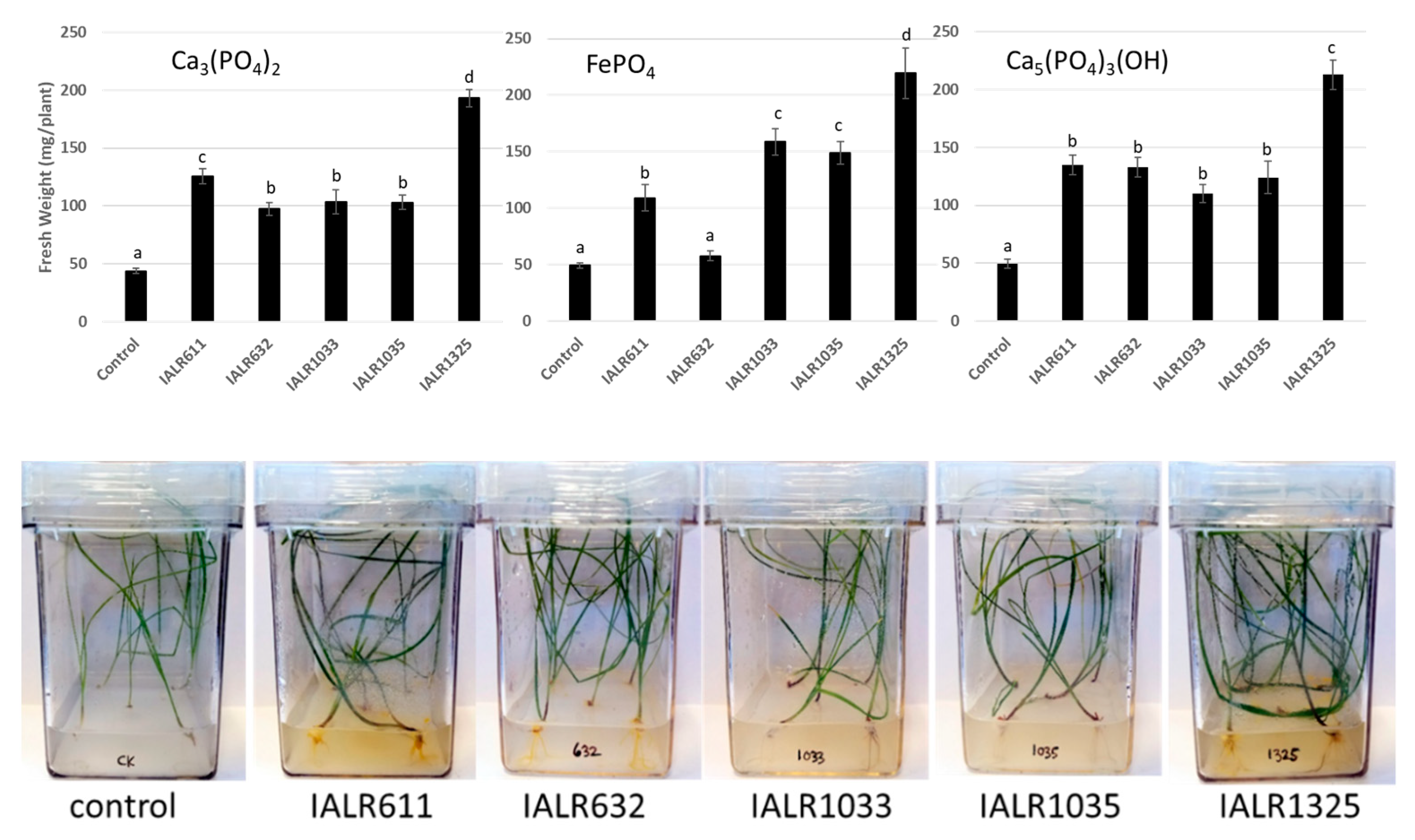 Microorganisms 09 01935 g003
