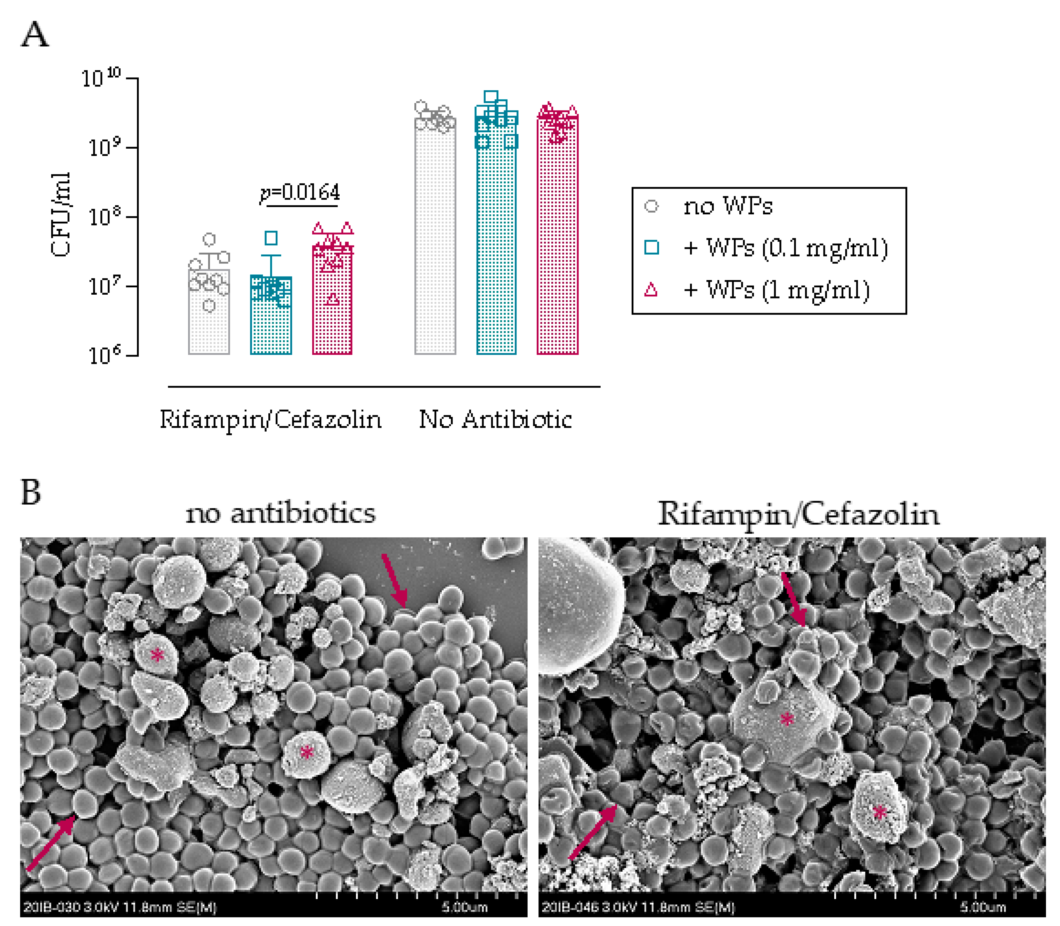 Microorganisms 09 01945 g001