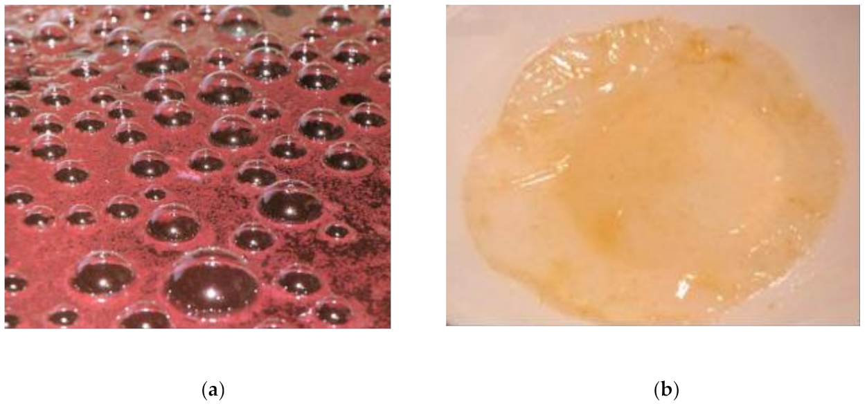 Microorganisms 09 01946 g010