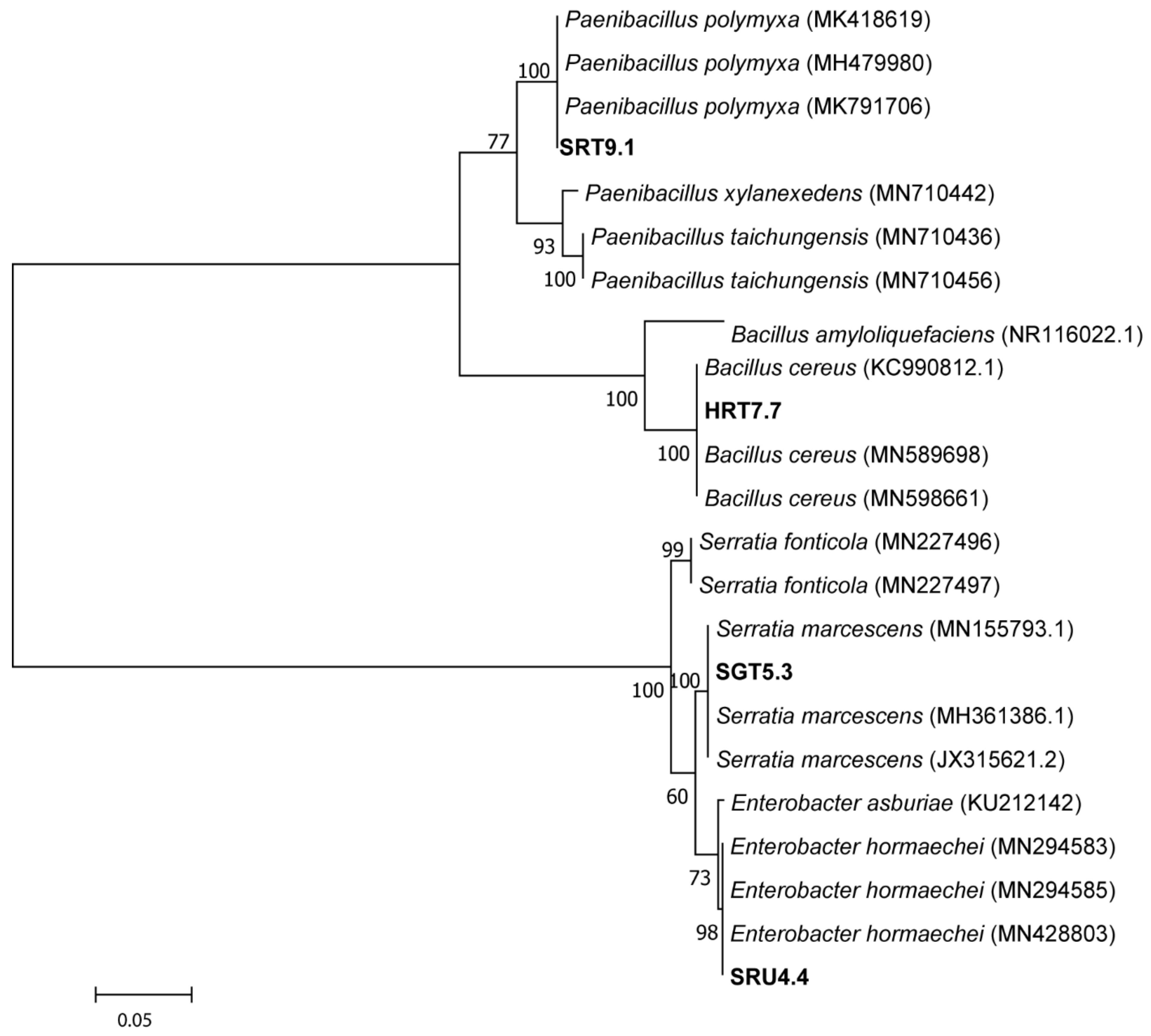 Microorganisms 09 01947 g001