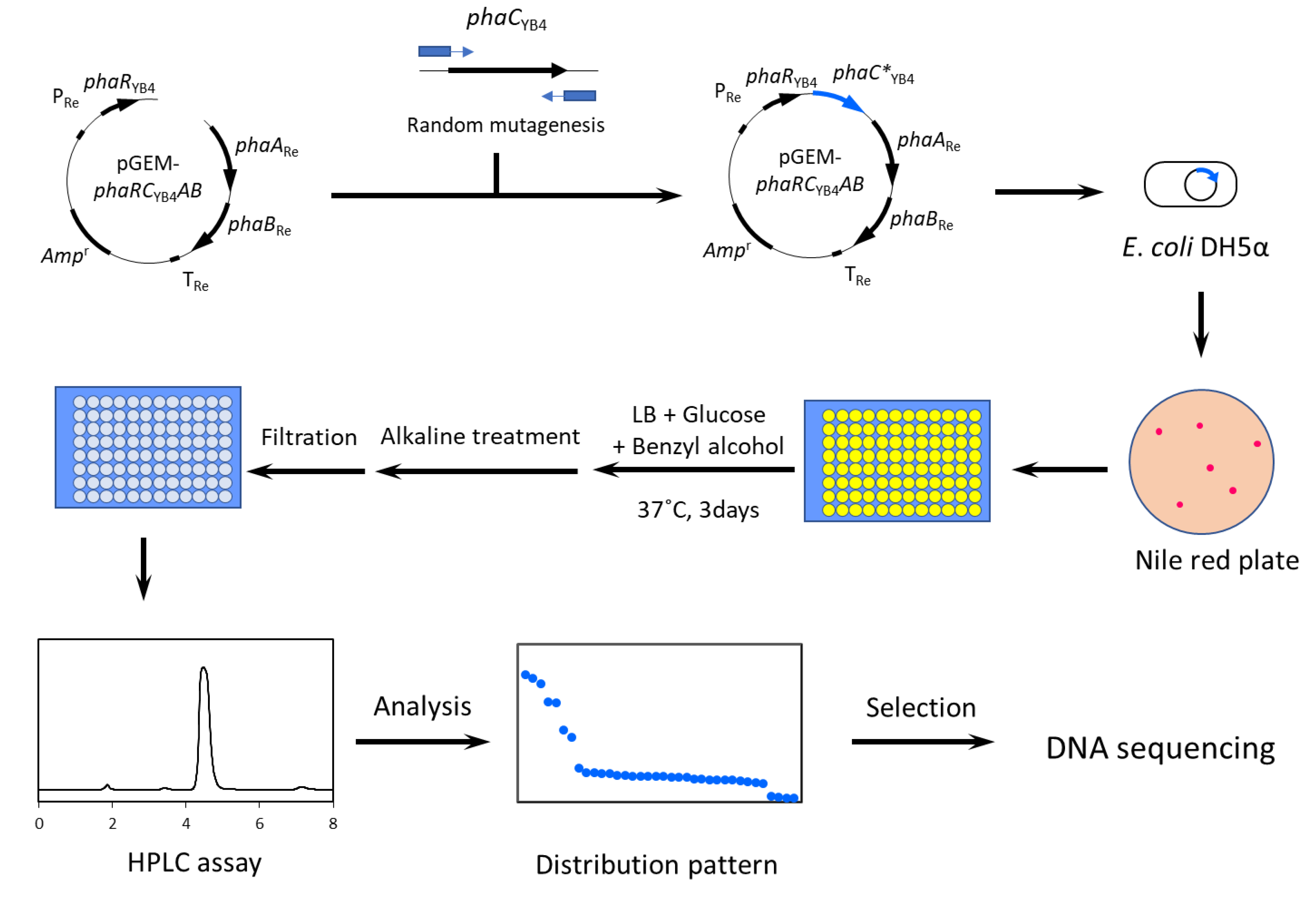 Microorganisms 09 01949 g001 Microorganisms 09 01949 g001