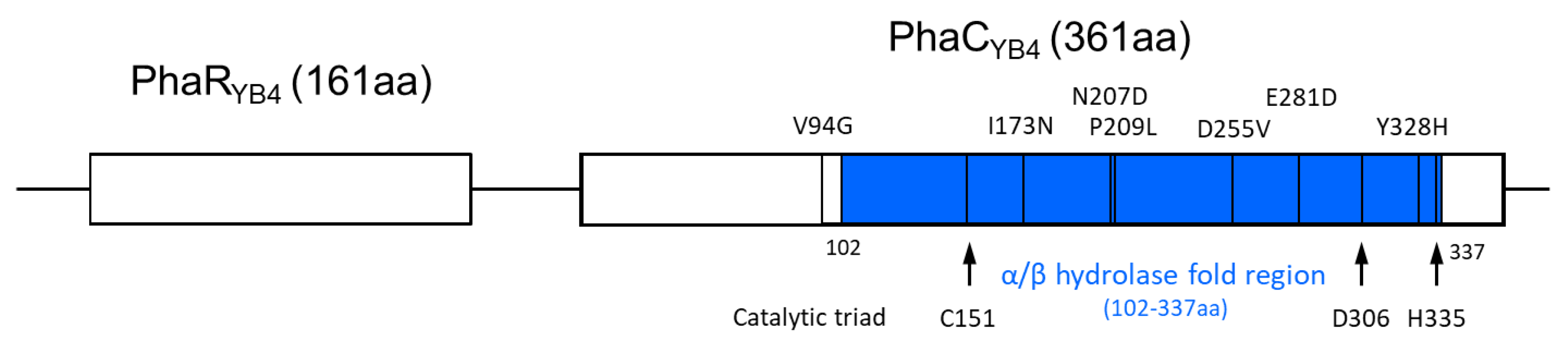 Microorganisms 09 01949 g004 Microorganisms 09 01949 g004
