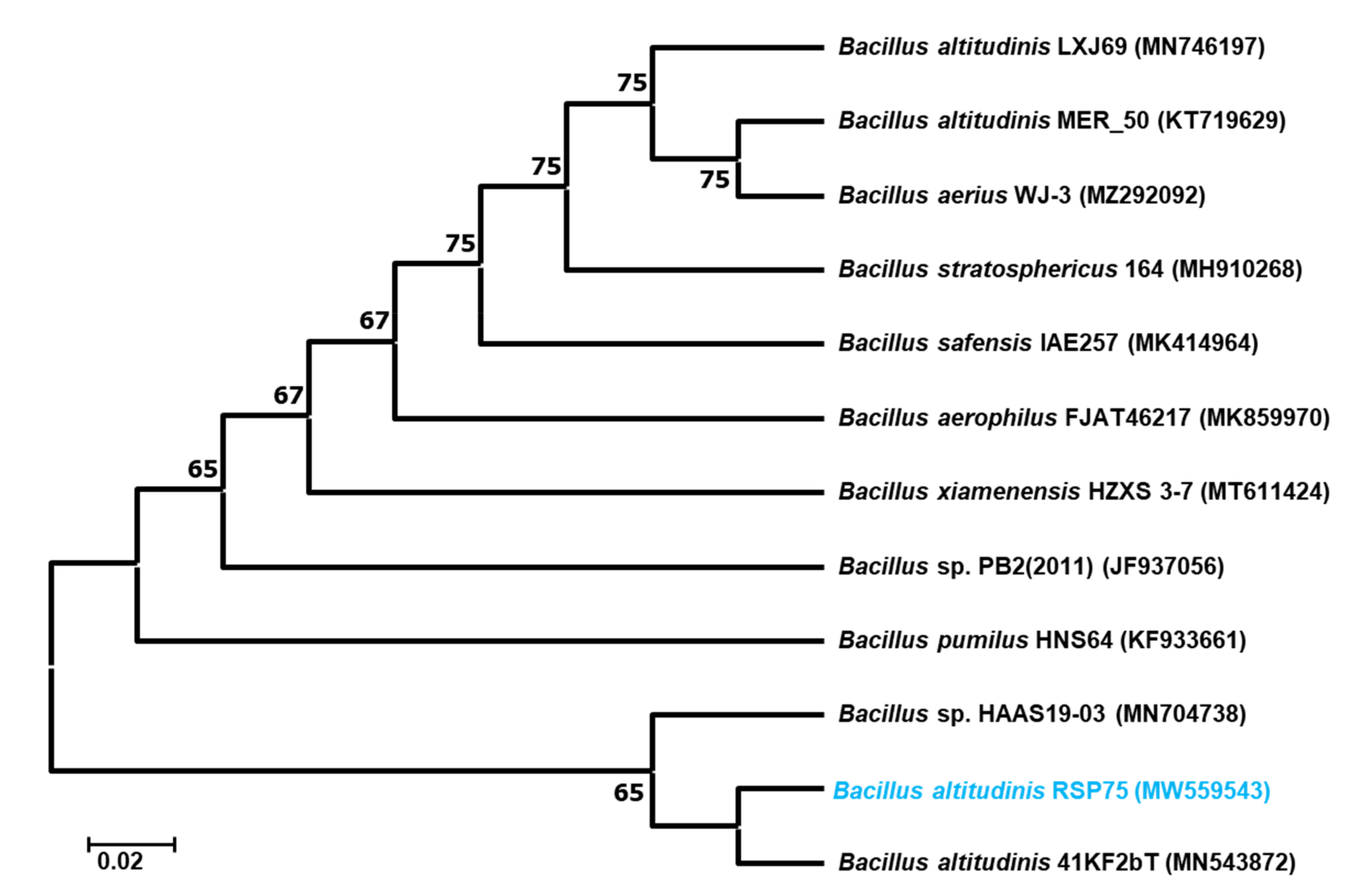 Microorganisms 09 01952 g002