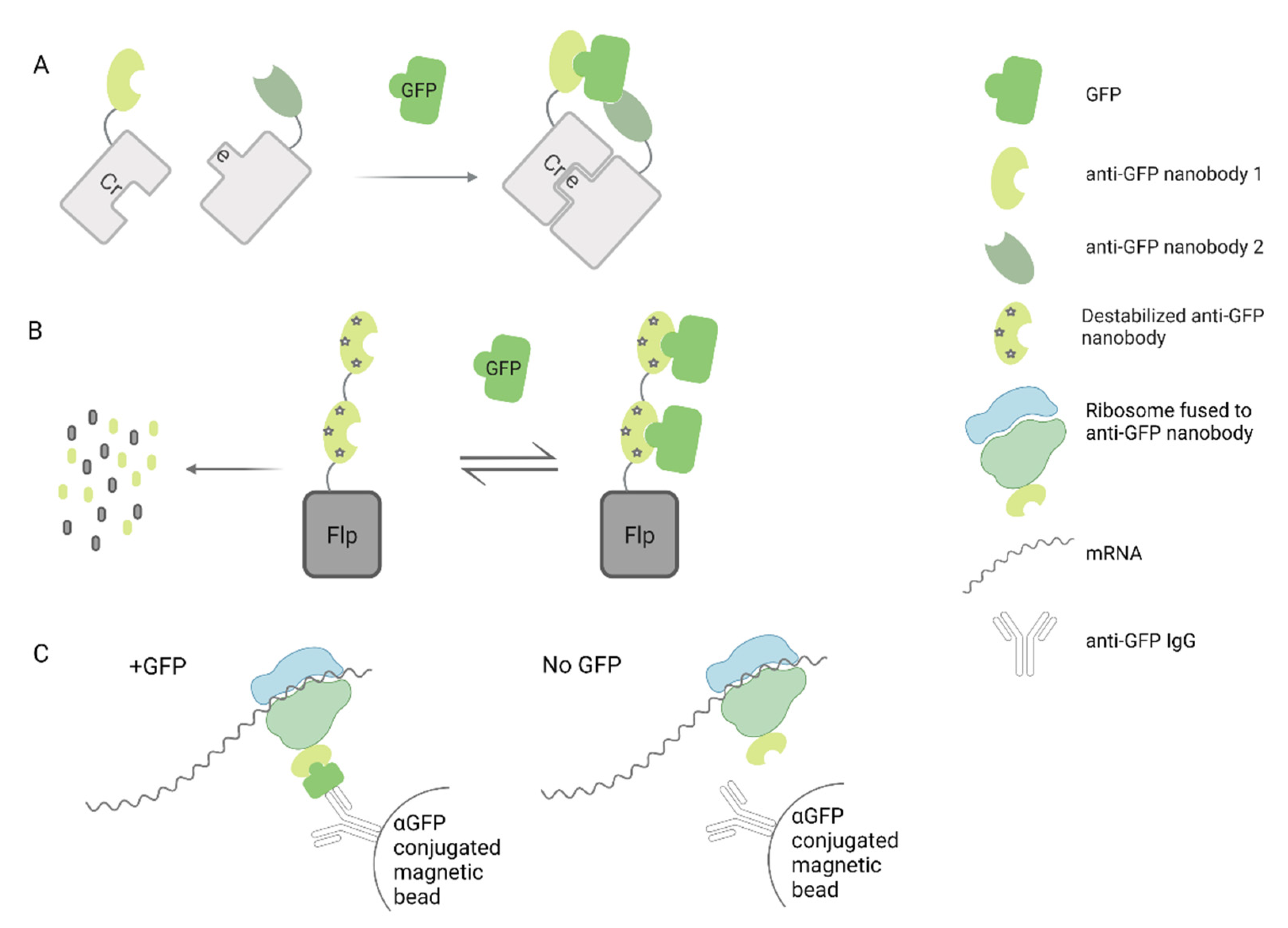 Microorganisms 09 01956 g003 Microorganisms 09 01956 g003