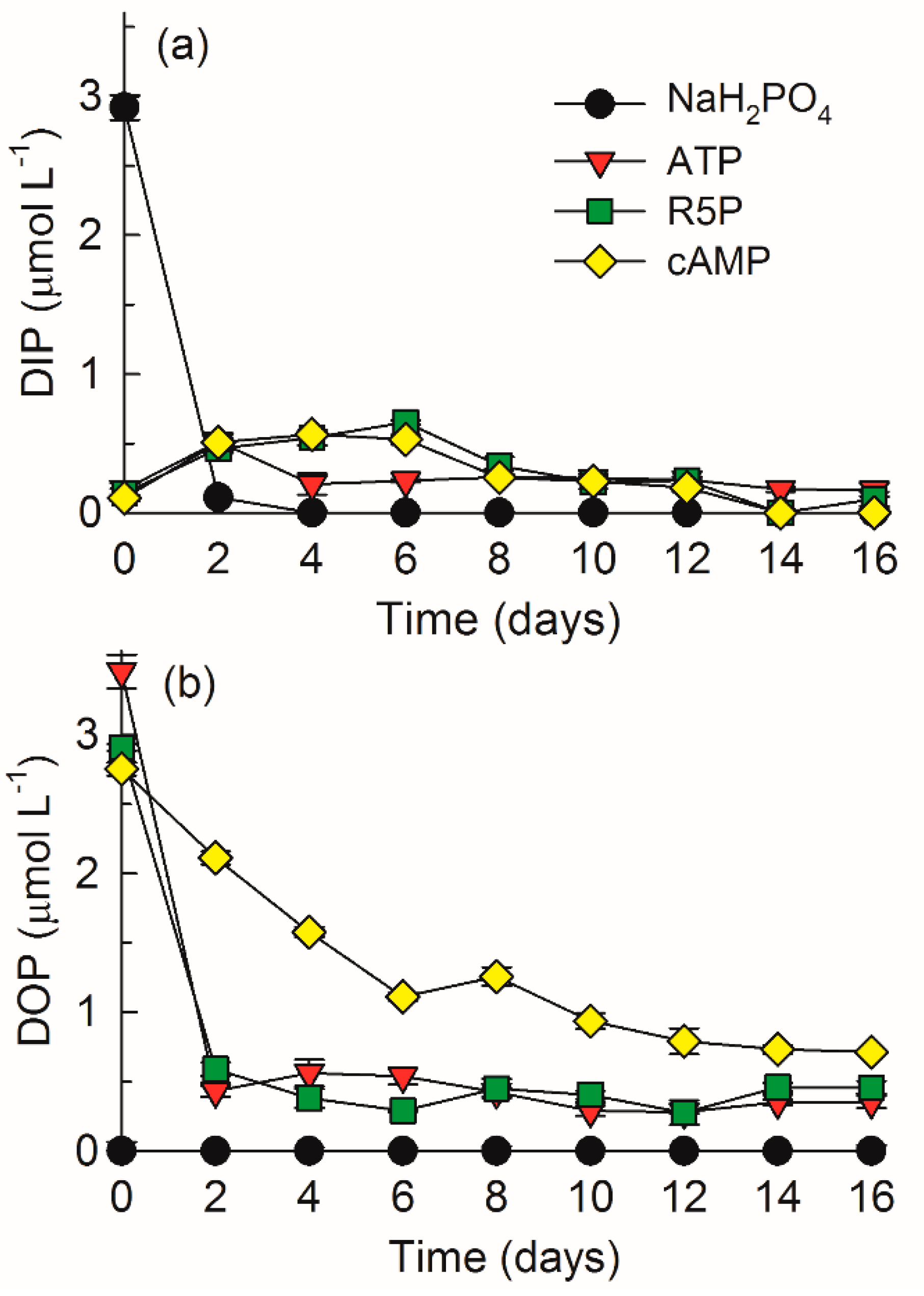 Microorganisms 09 01961 g001