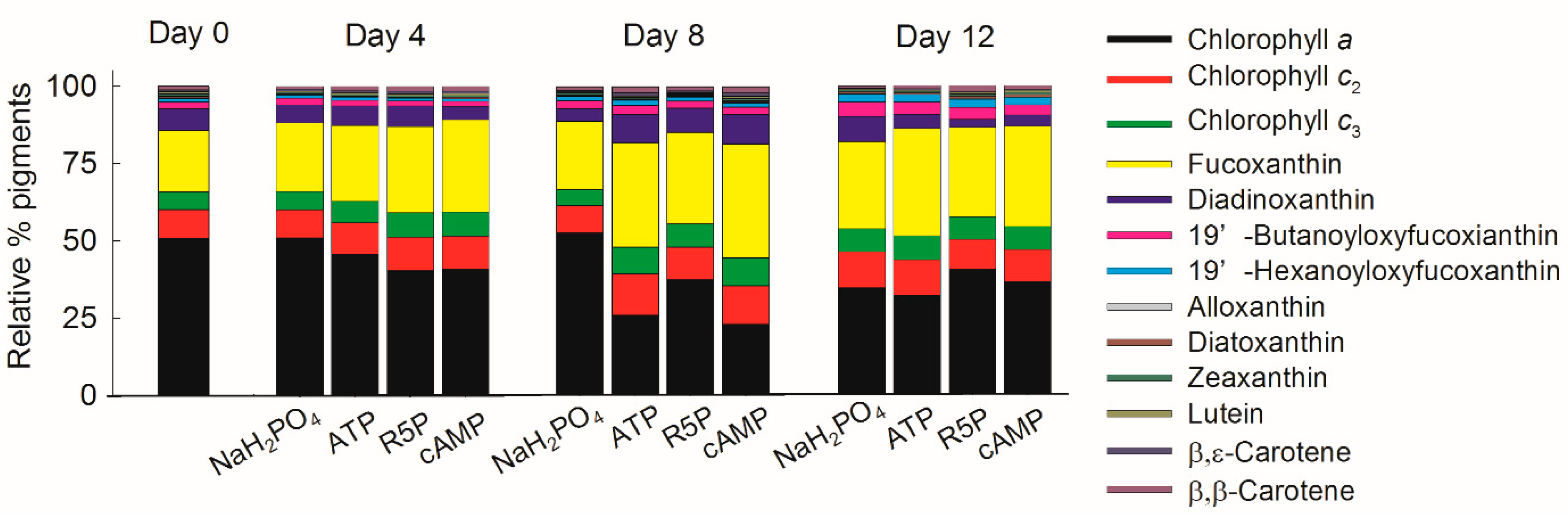 Microorganisms 09 01961 g007