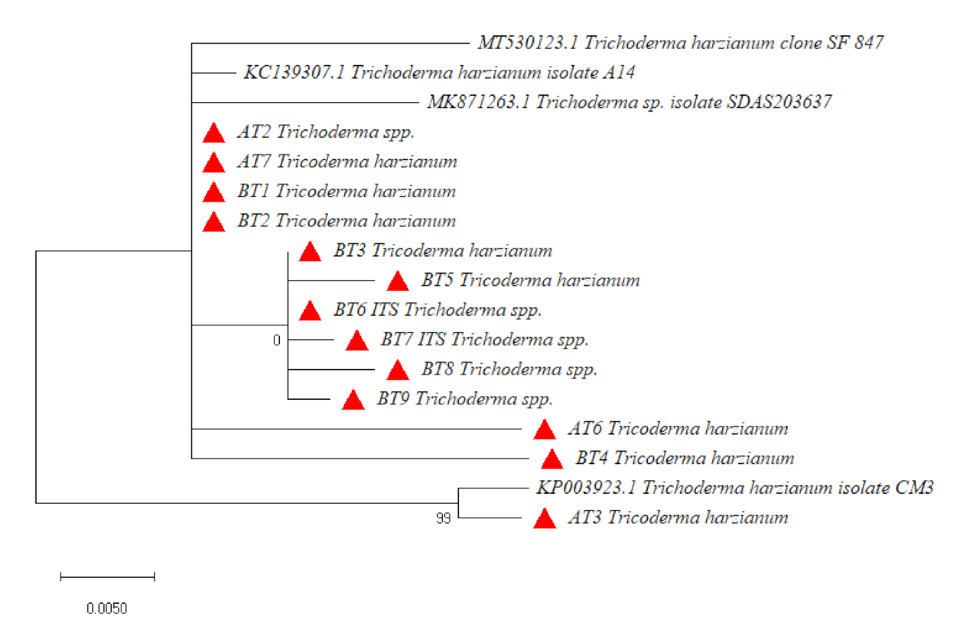 Microorganisms 09 01962 g001 550