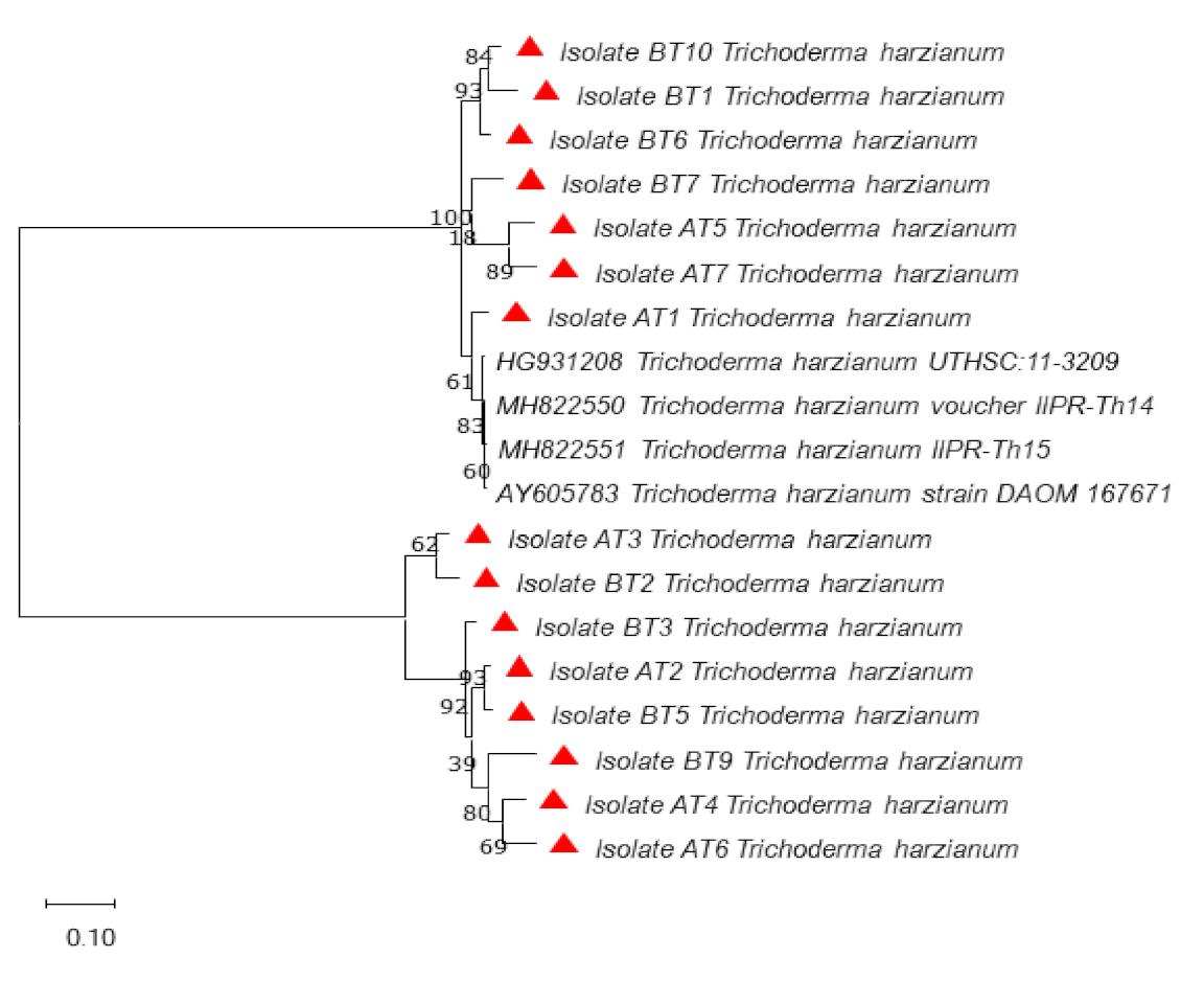 Microorganisms 09 01962 g002 550