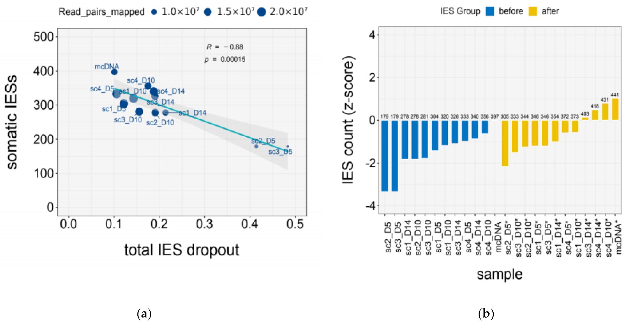 Microorganisms 09 01979 g002