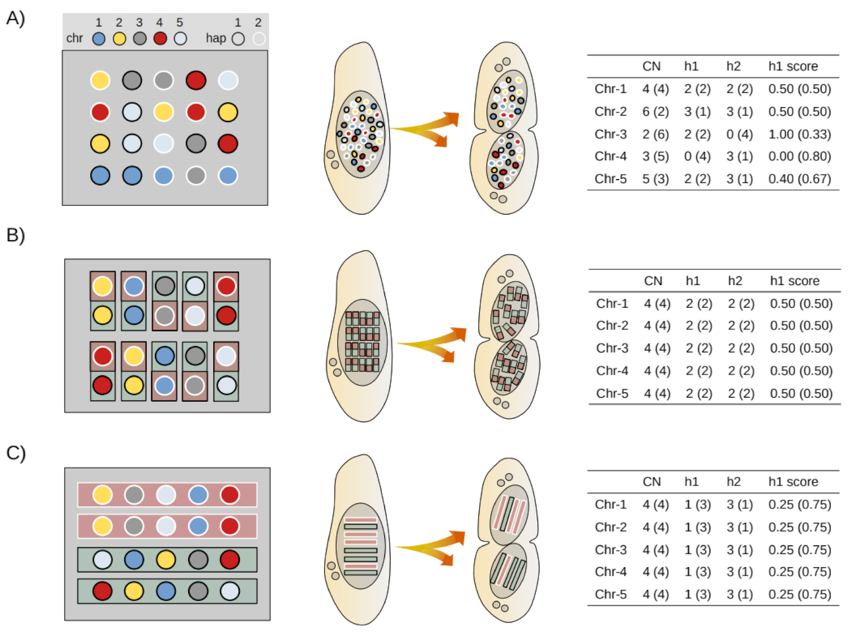 Microorganisms 09 01979 g004