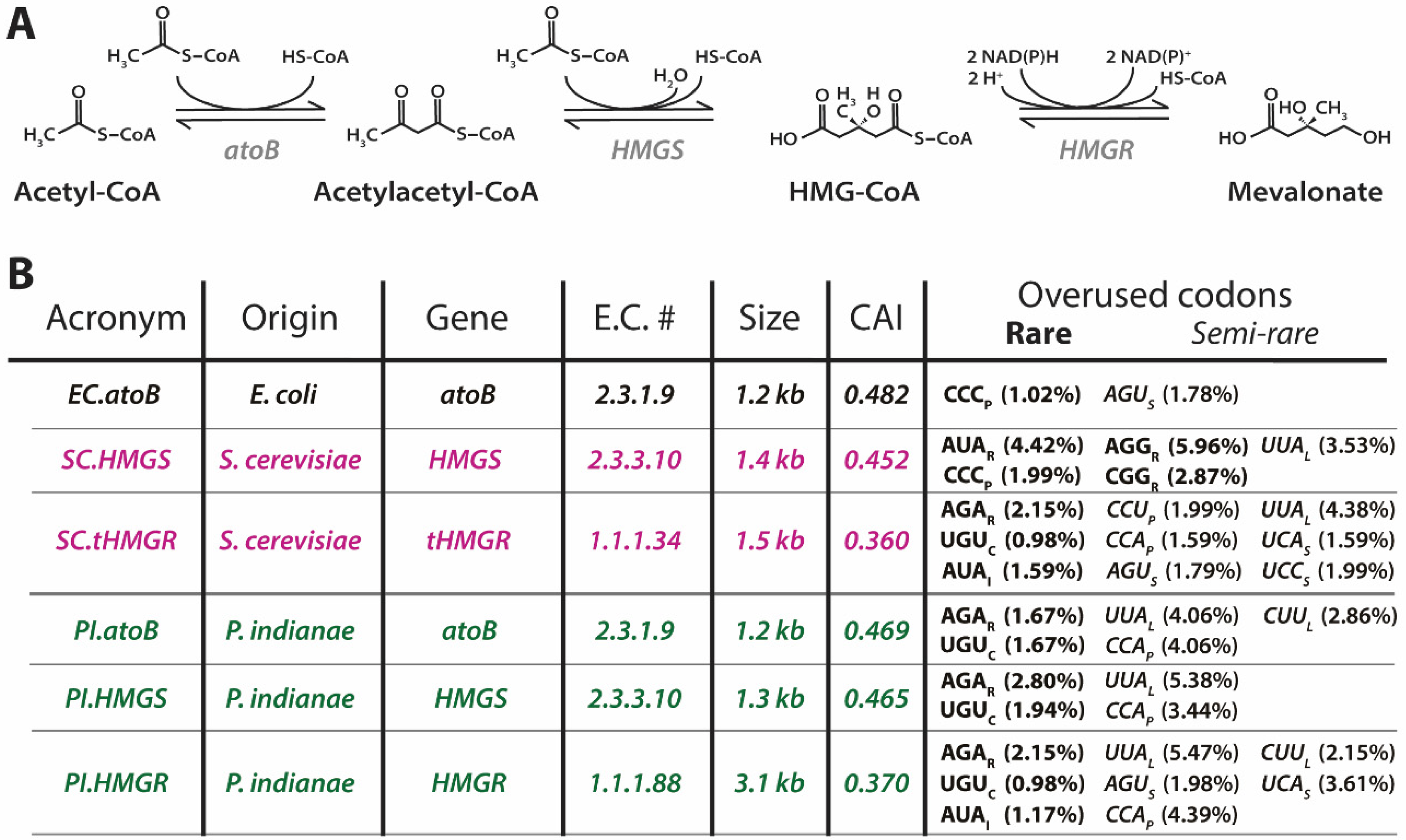 Microorganisms 09 01986 g003