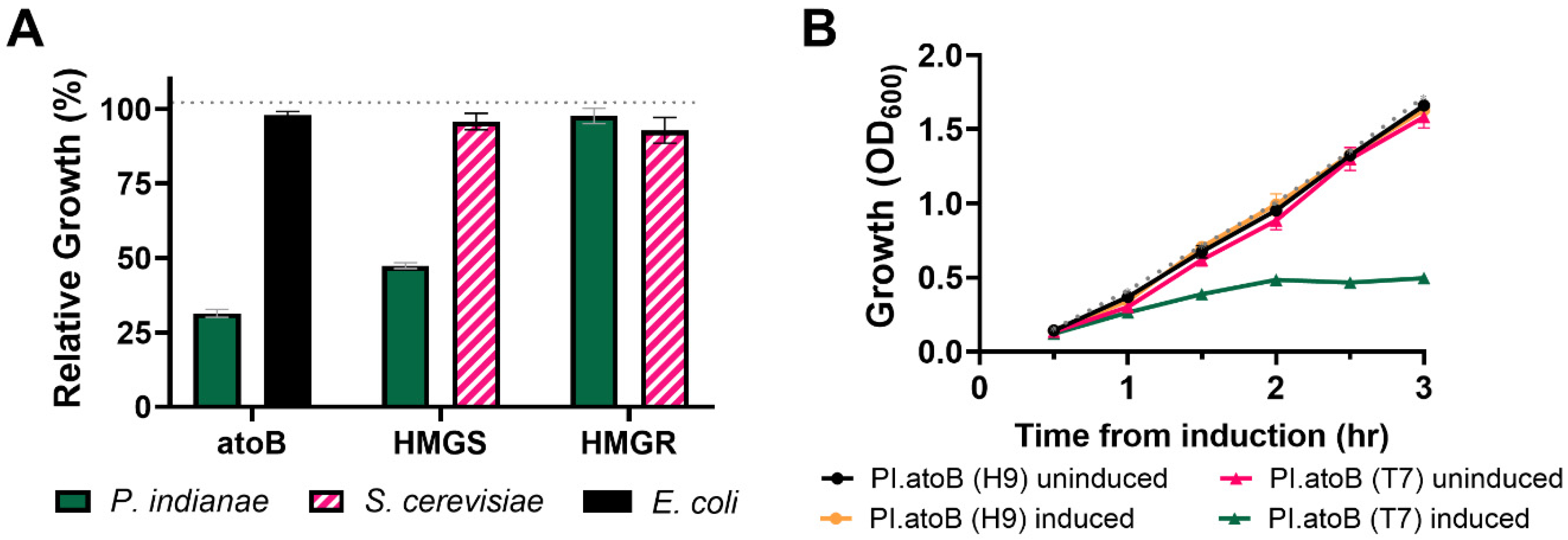 Microorganisms 09 01986 g004
