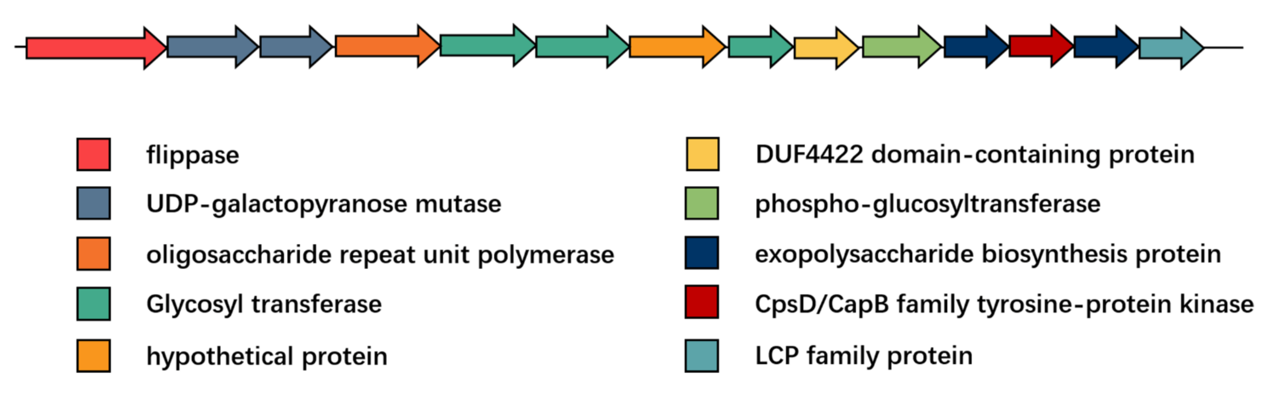 Microorganisms 09 01992 g009 Microorganisms 09 01992 g009