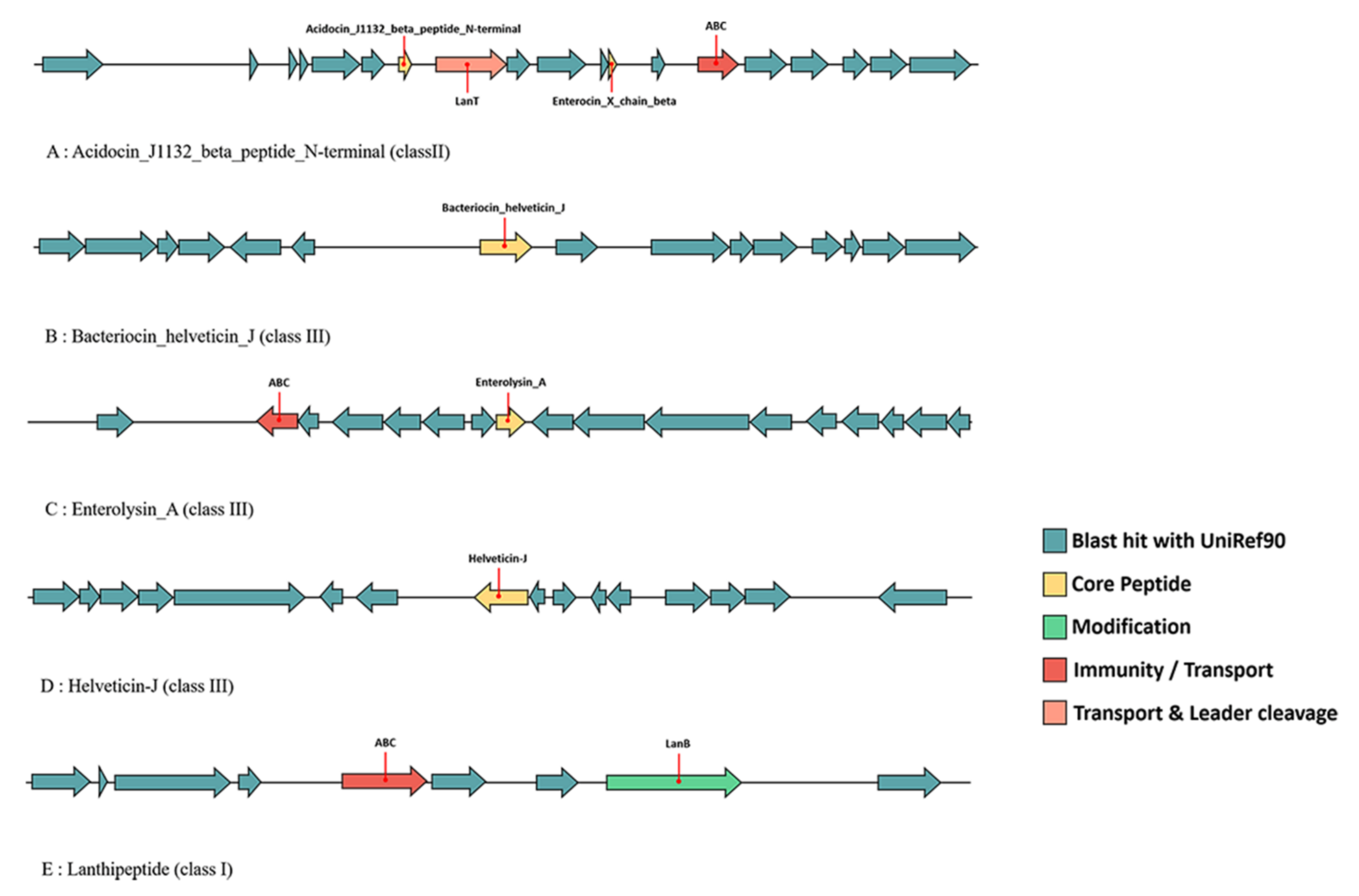 Microorganisms 09 01992 g012 Microorganisms 09 01992 g012