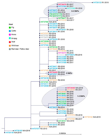Microorganisms  September 2021 - Browse Articles