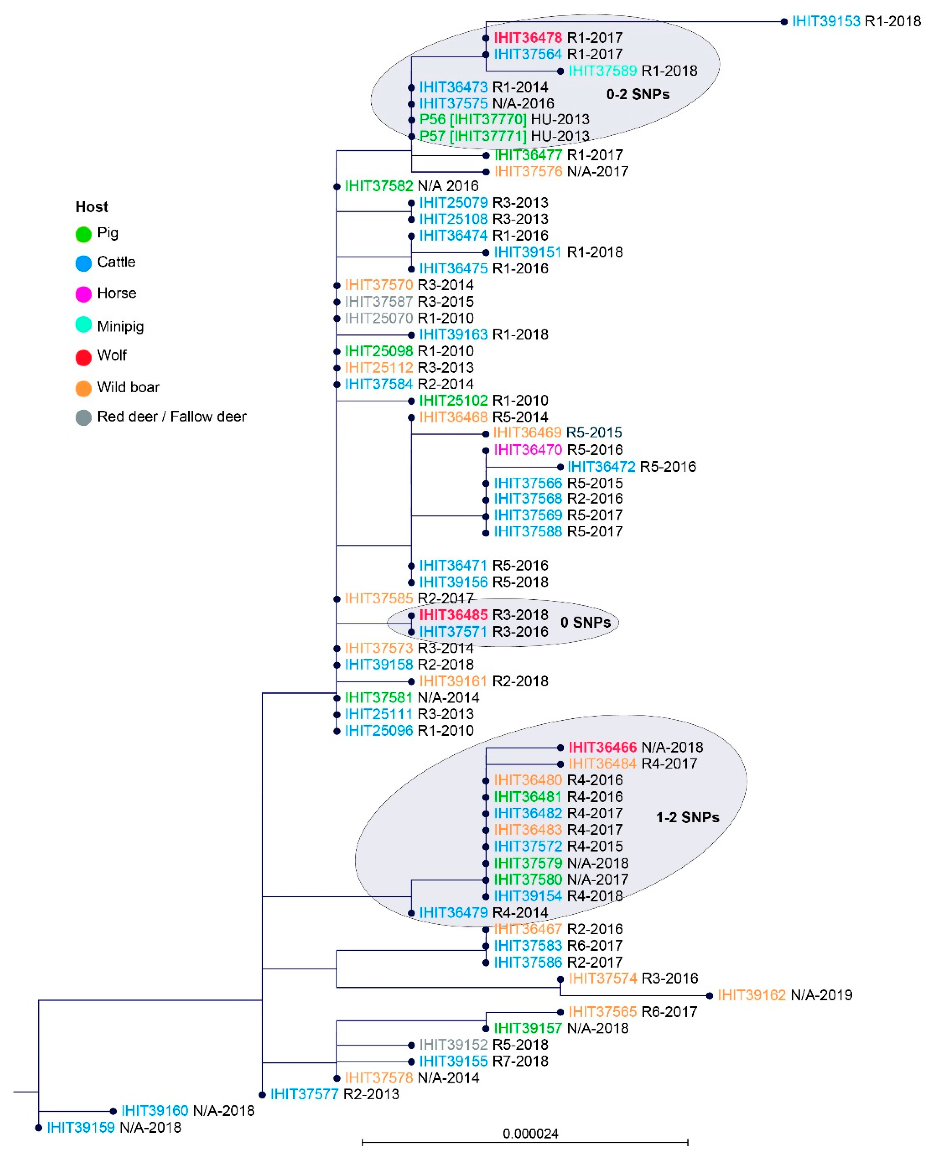 Microorganisms 09 01999 g003 Microorganisms 09 01999 g003
