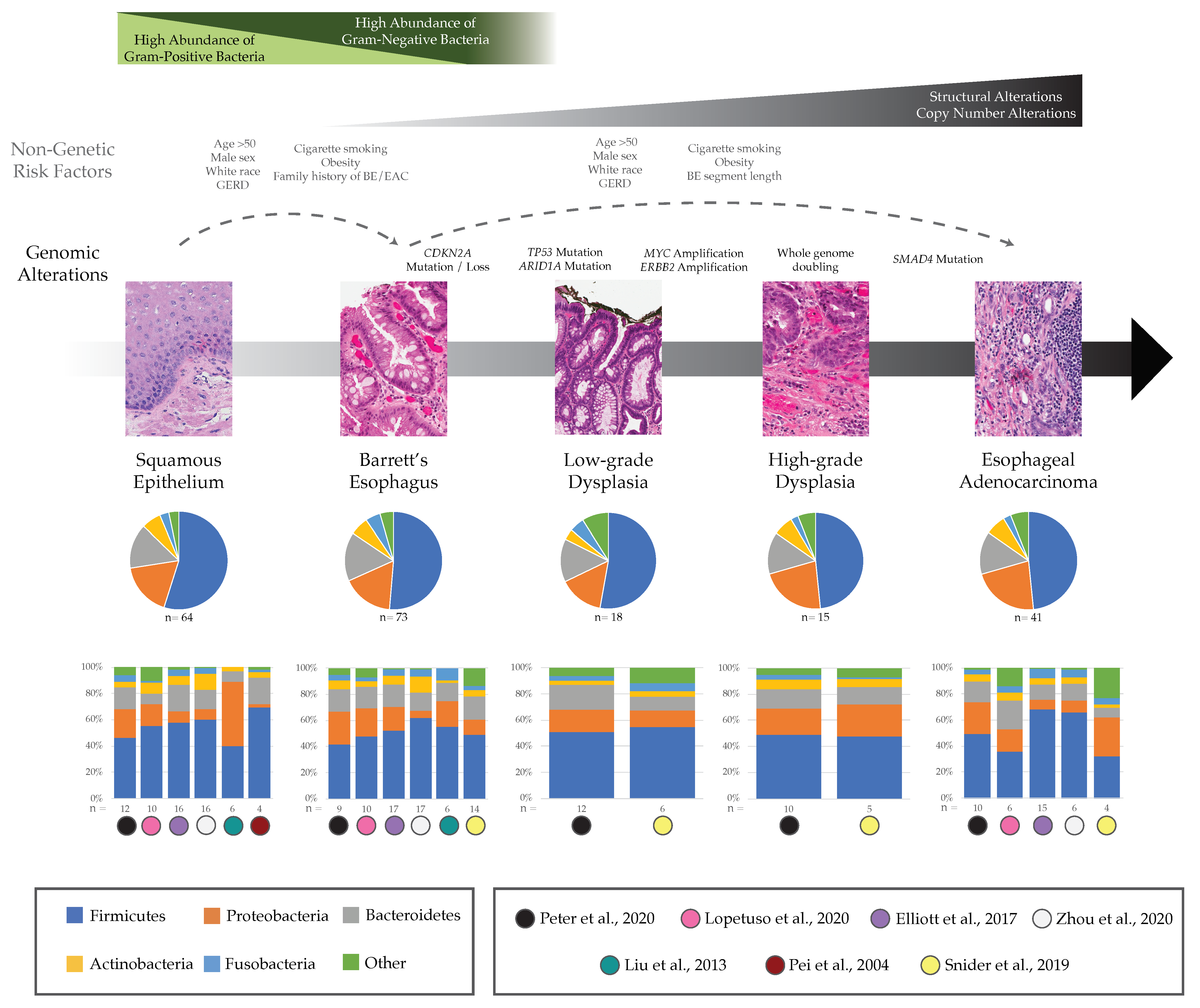 Microorganisms 09 02003 g001