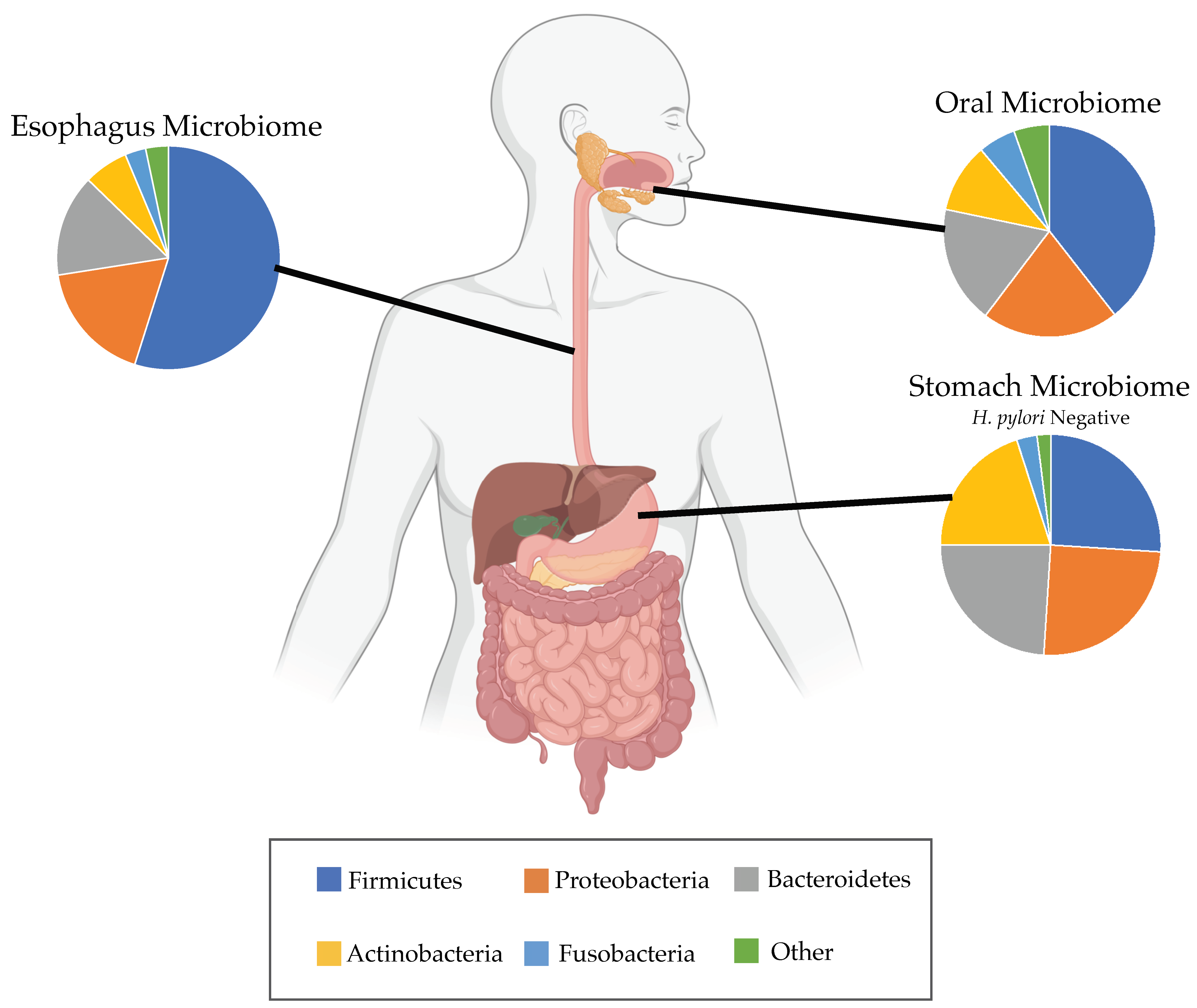 Microorganisms 09 02003 g002