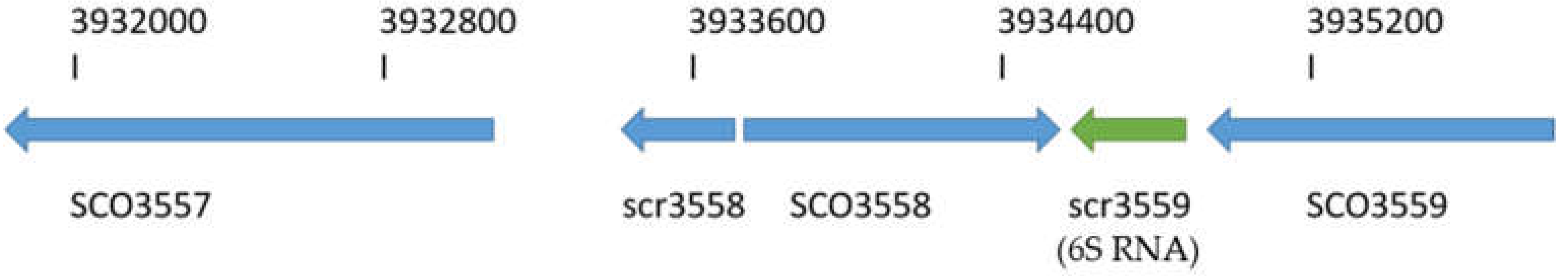 Microorganisms 09 02004 g001