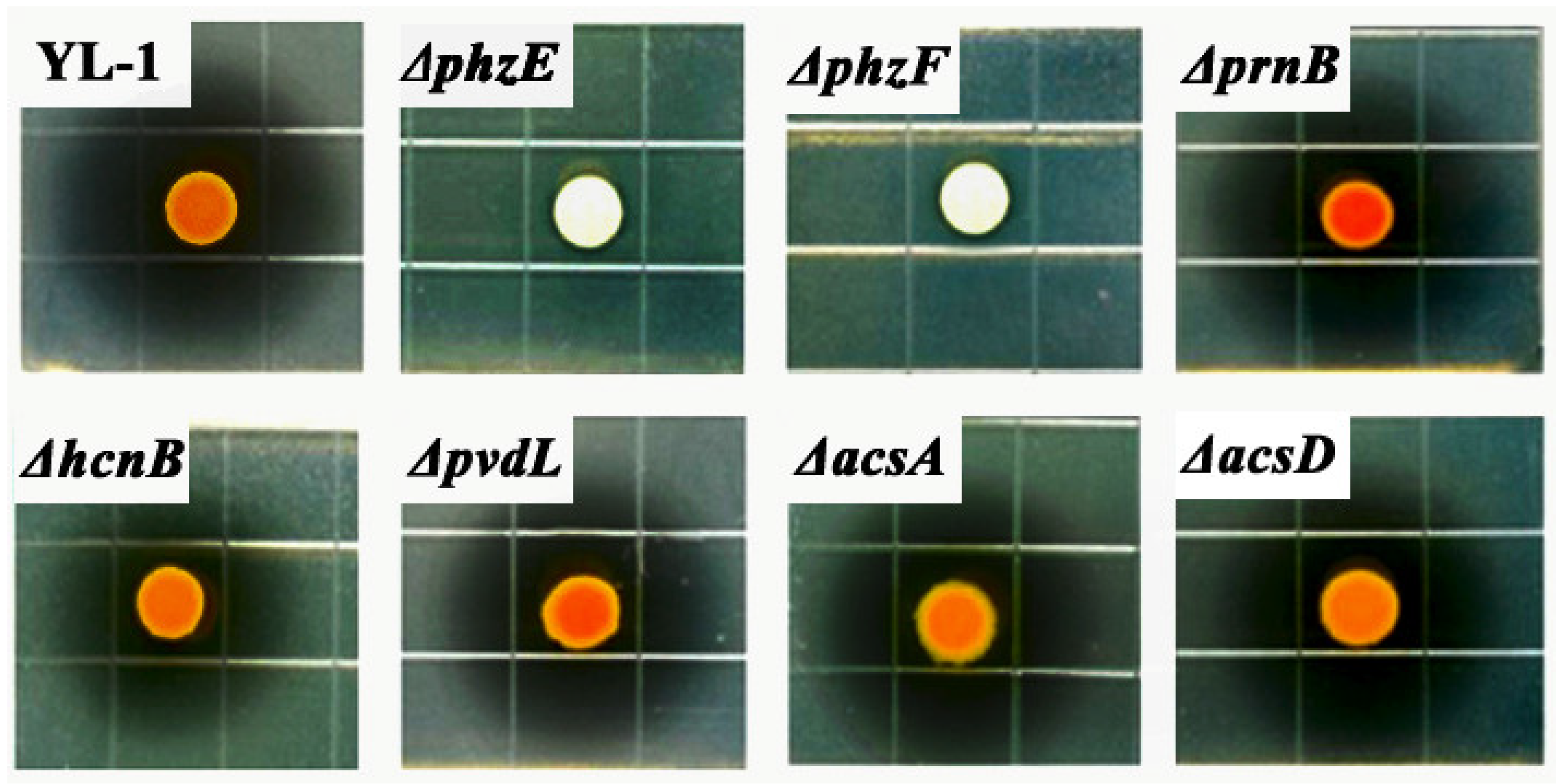 Microorganisms 09 02012 g001