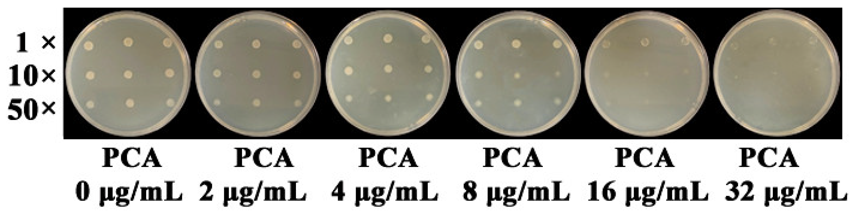 Microorganisms 09 02012 g004