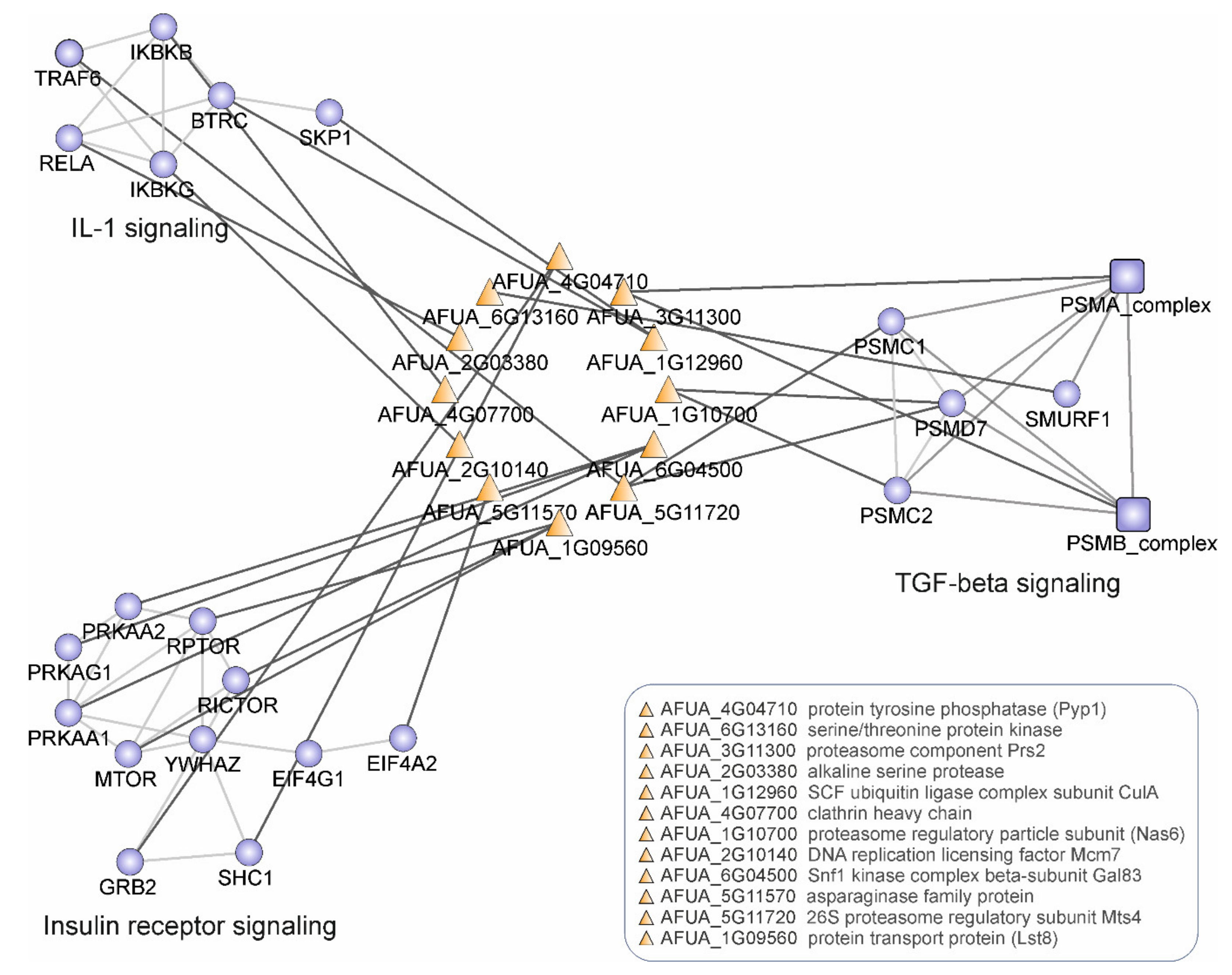 Microorganisms 09 02014 g005 Microorganisms 09 02014 g005