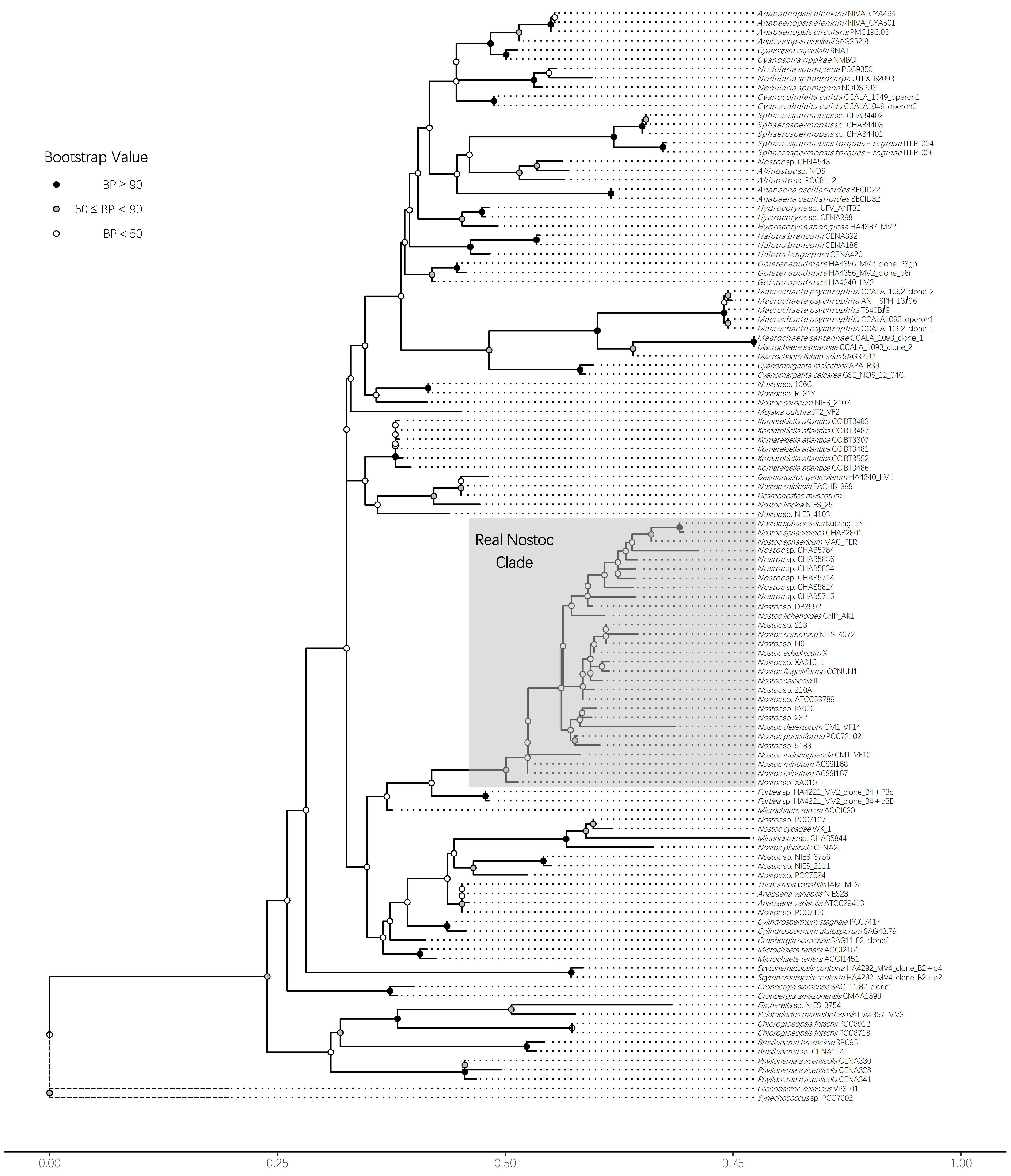 Microorganisms 09 02015 g002 Microorganisms 09 02015 g002
