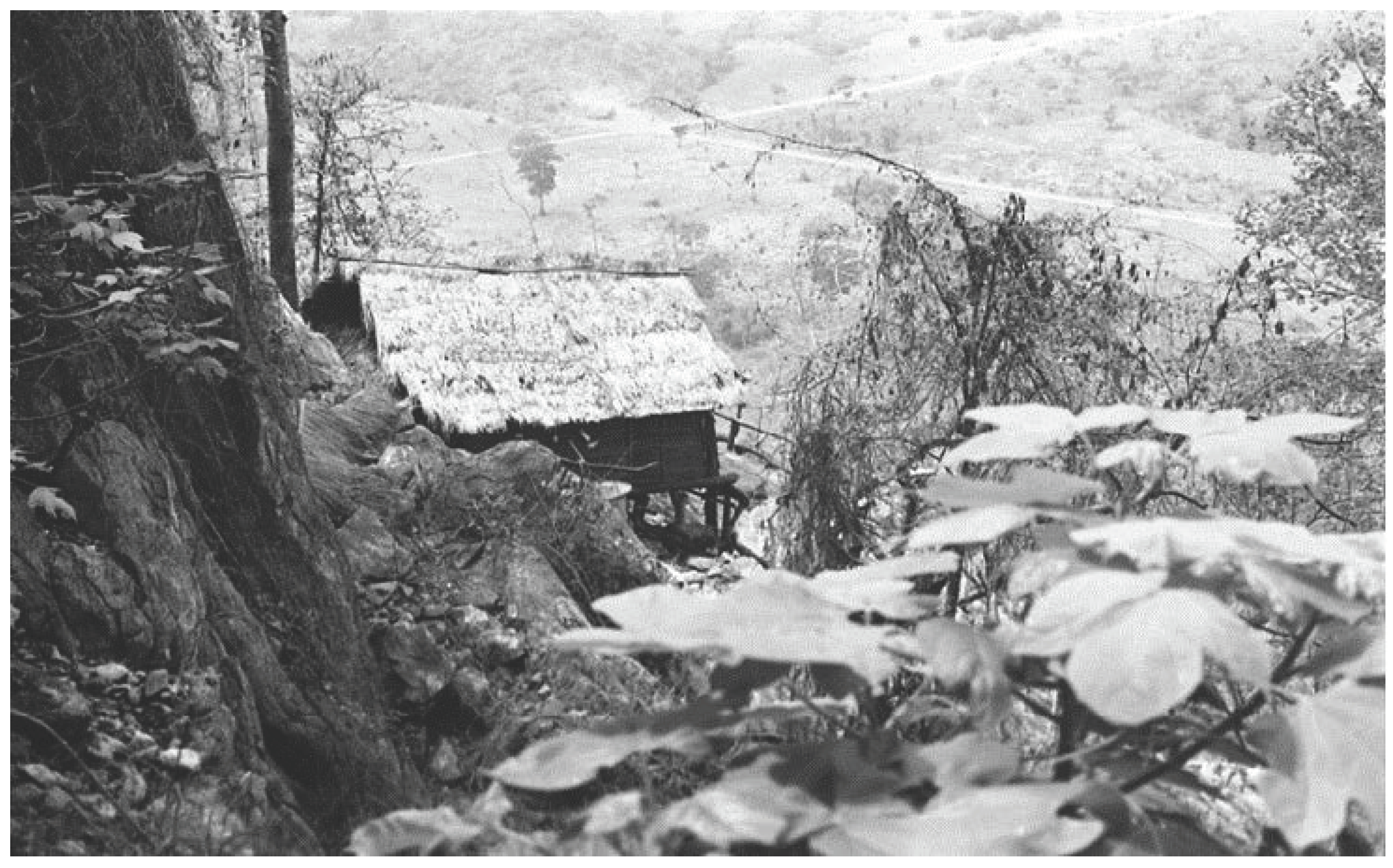 Microorganisms 09 02022 g002