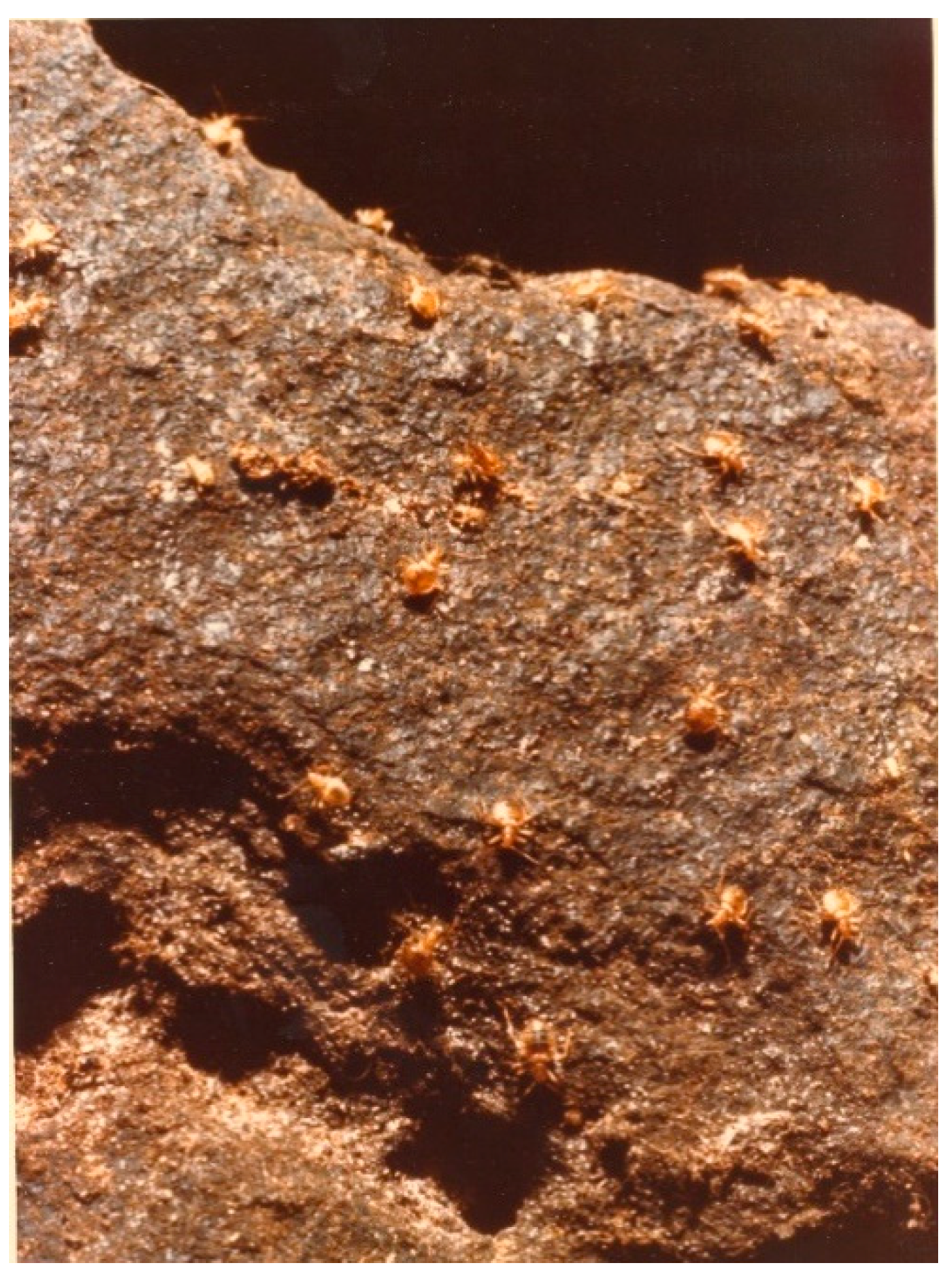 Microorganisms 09 02022 g005