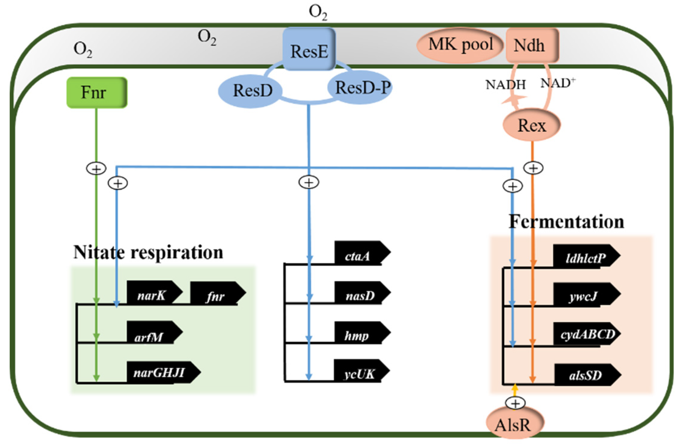 Microorganisms 09 02030 g001