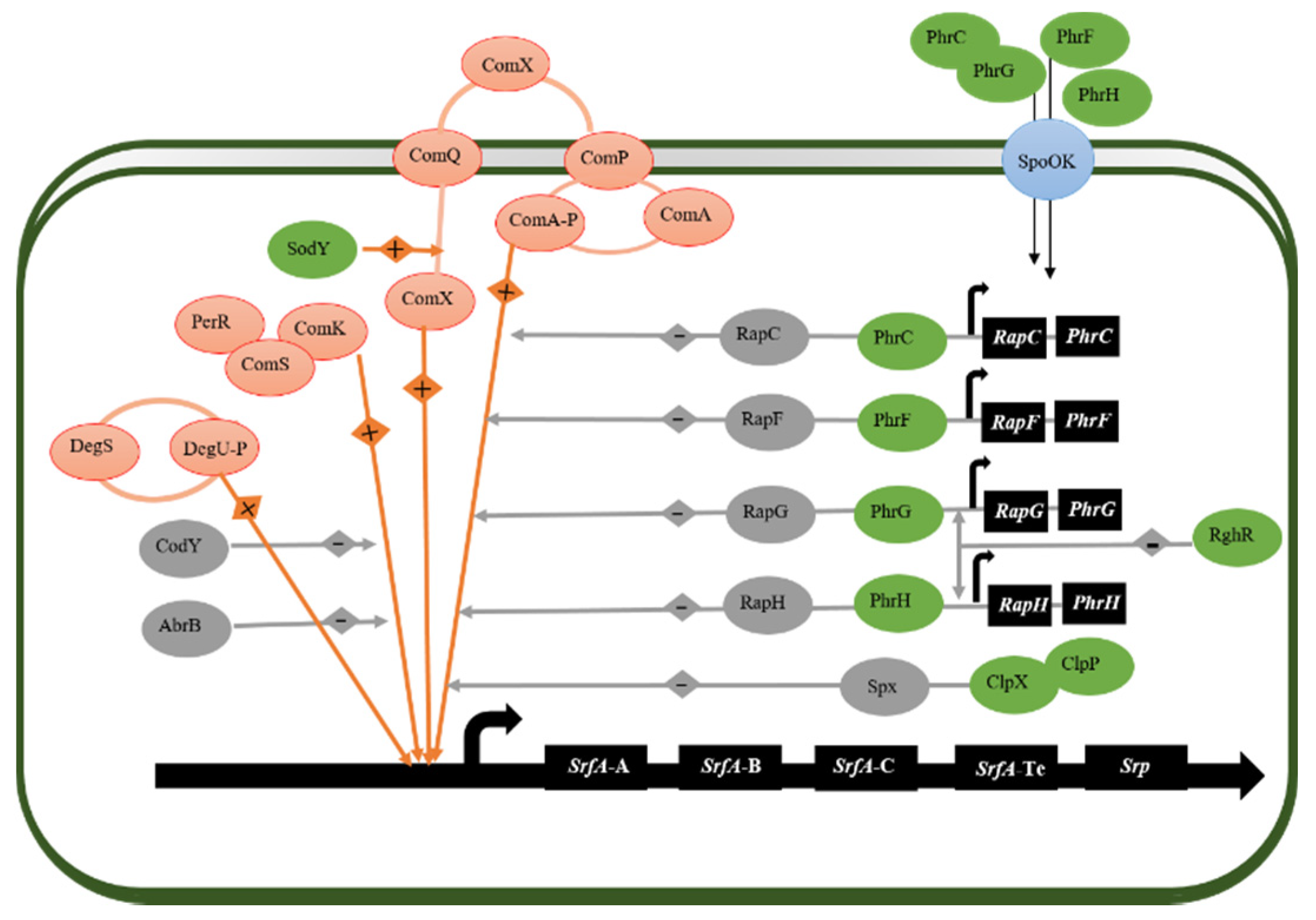 Microorganisms 09 02030 g003