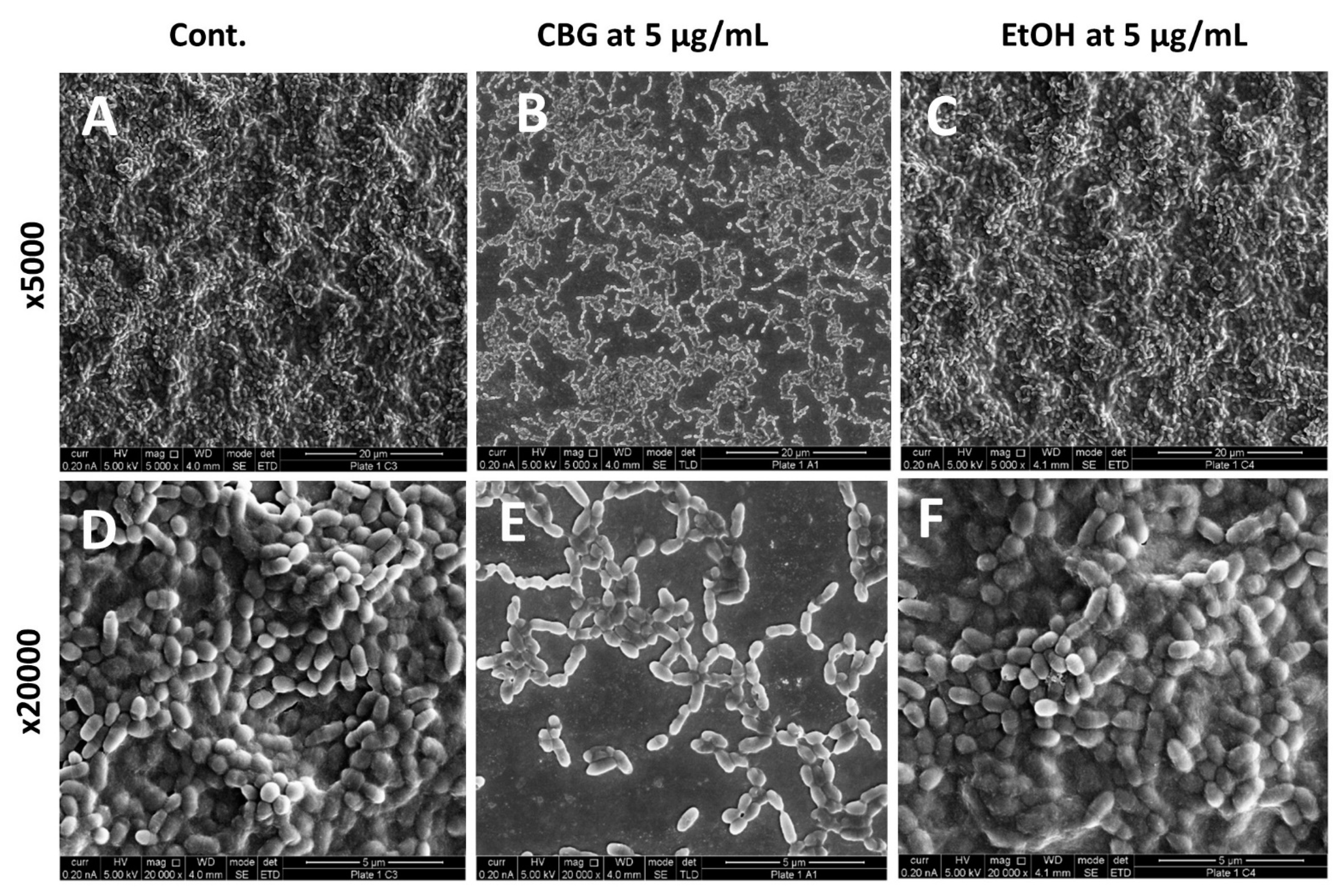 Microorganisms 09 02031 g002 550
