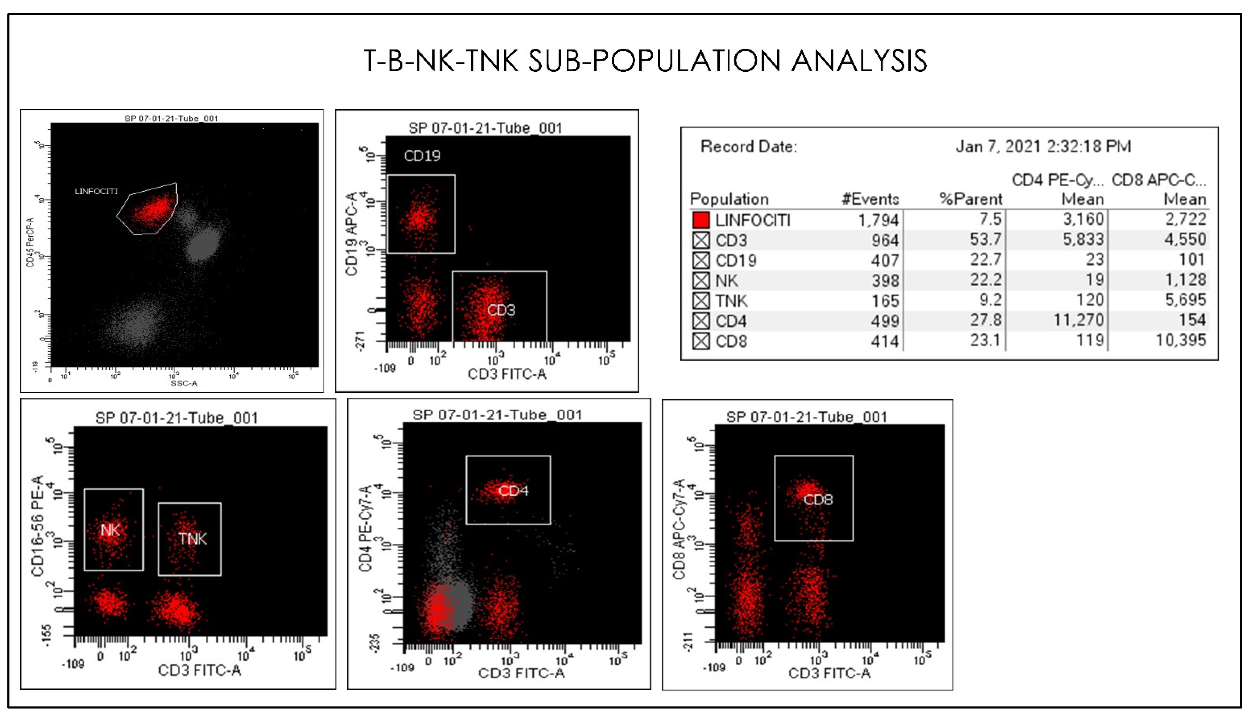 Microorganisms 09 02036 g010 550