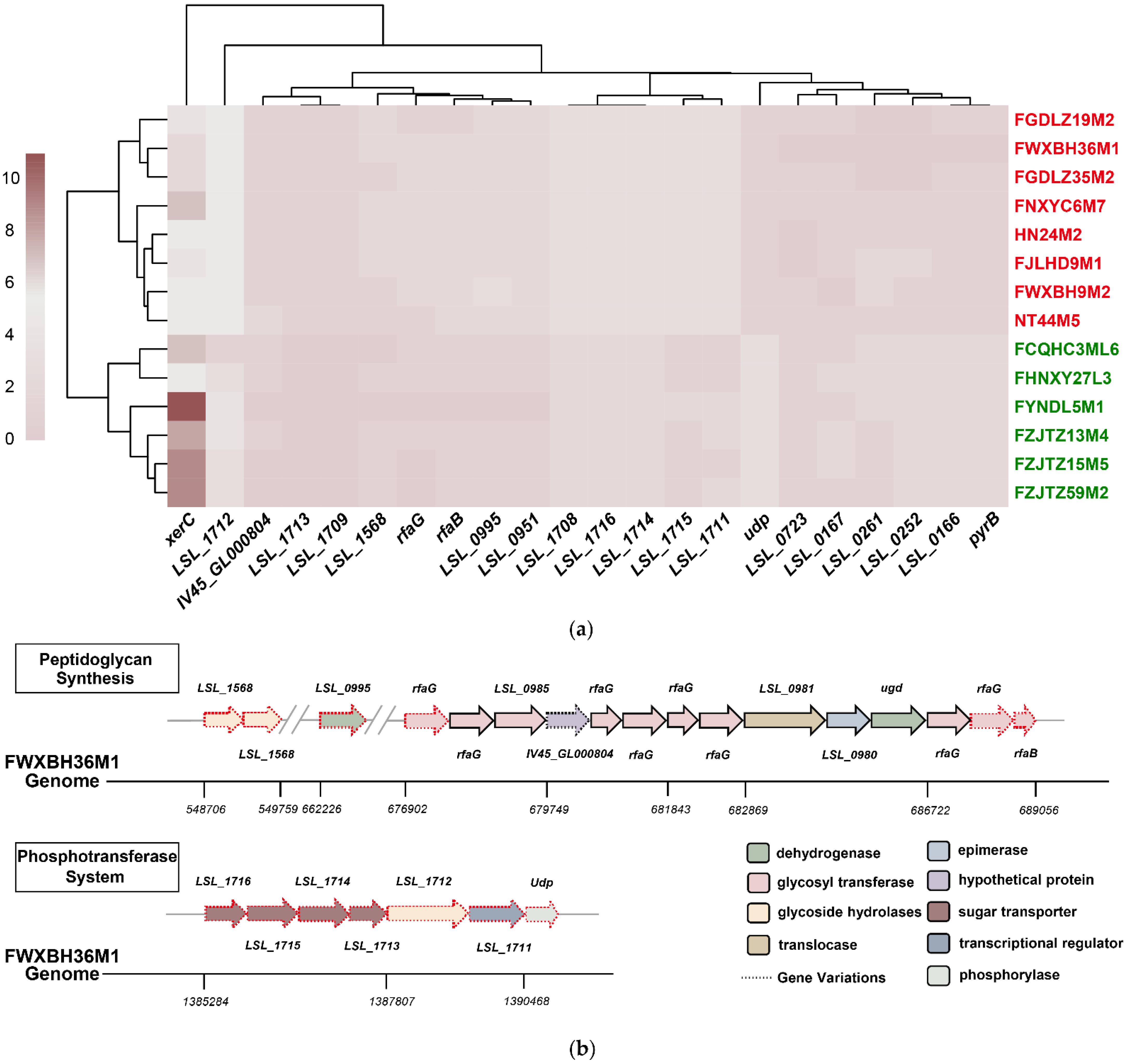 Microorganisms 09 02038 g003 Microorganisms 09 02038 g003
