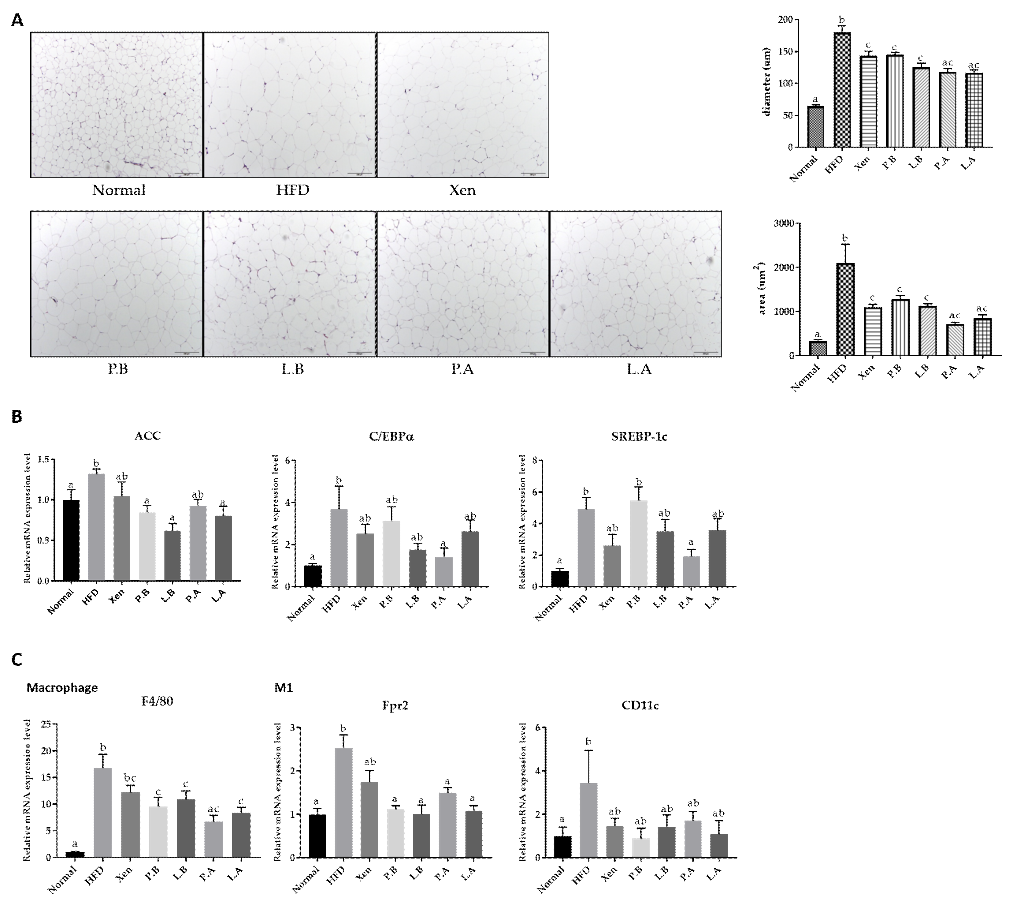 Microorganisms 09 02039 g004 550